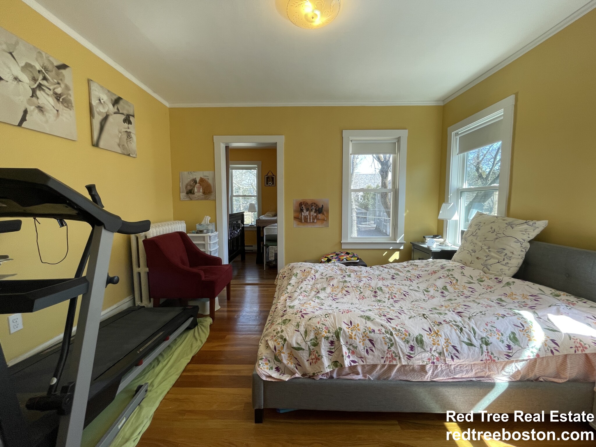 15 Westbourne Rd, Newton