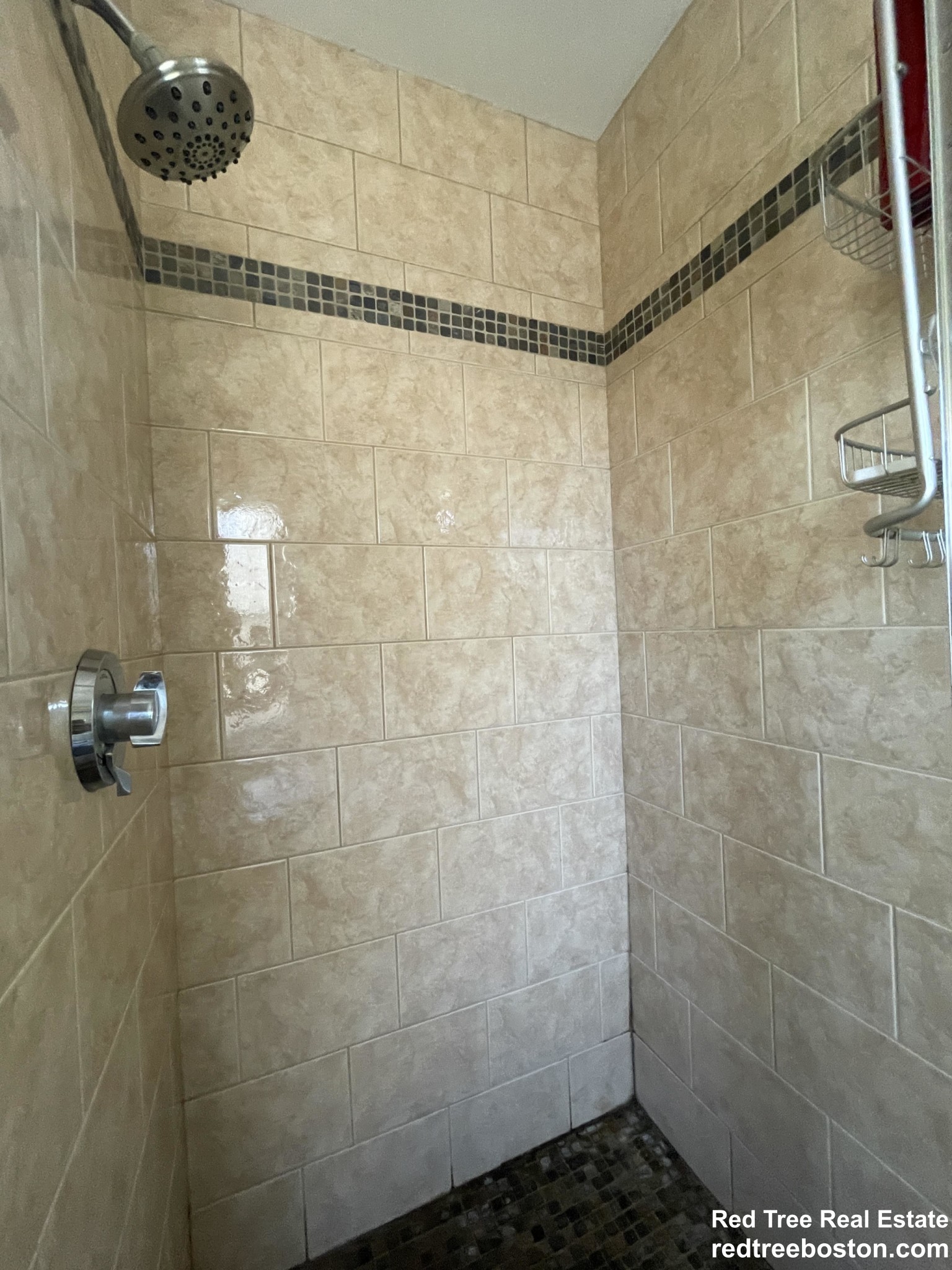 15 Westbourne Rd, Newton