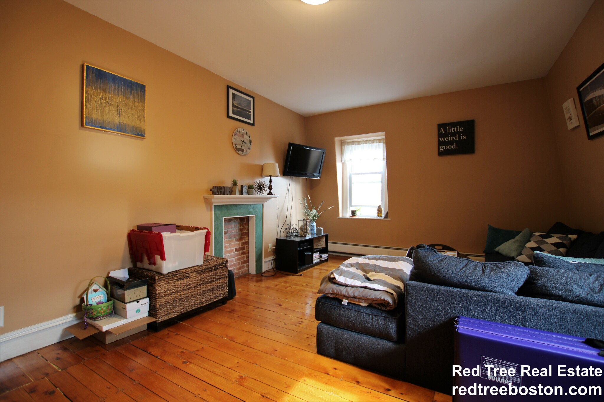 1 bed, 1 bath apartment for rent at 12 Phillips St Unit 3, Watertown — photo 3 of 16