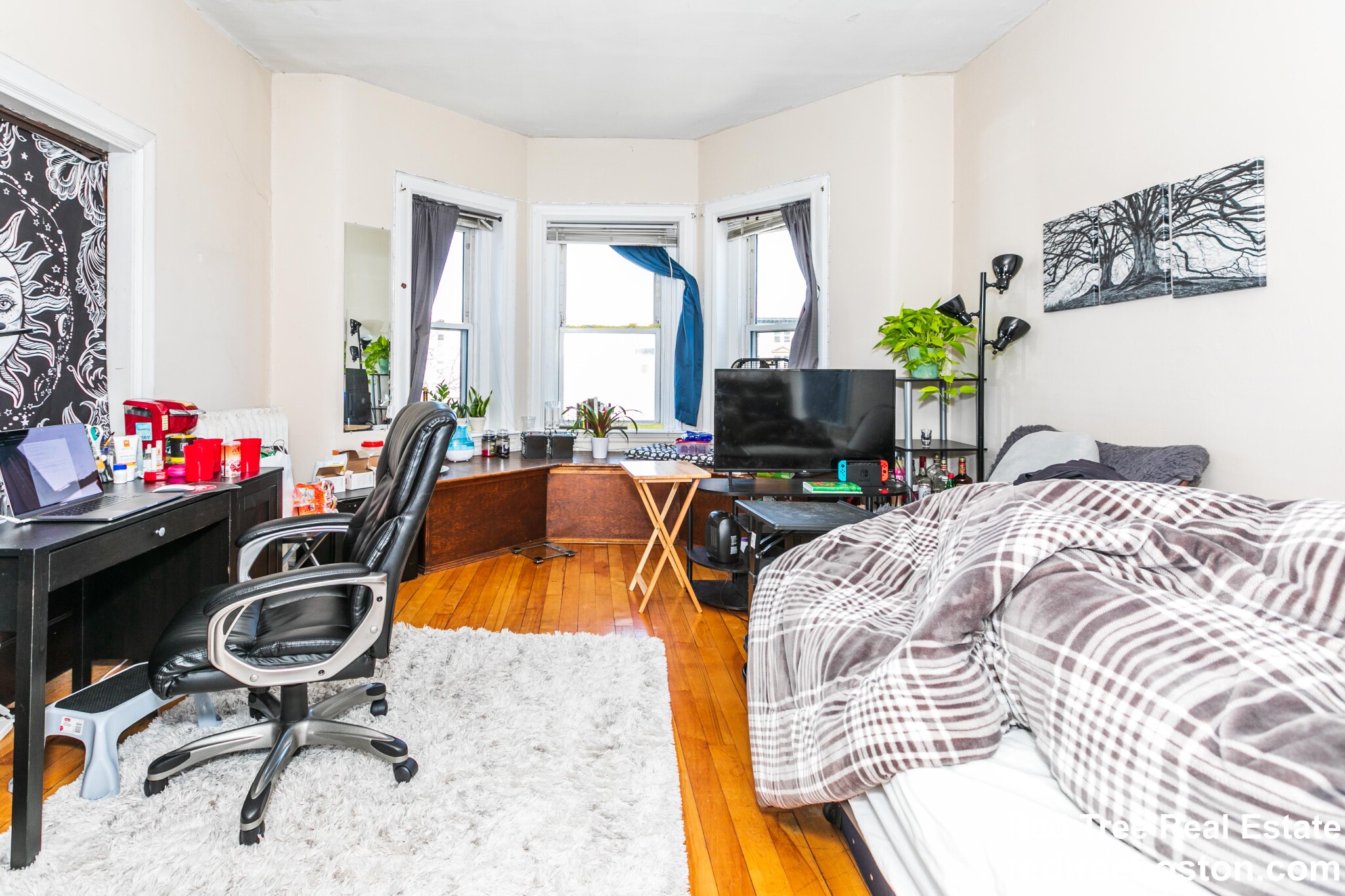 1284 Commonwealth Ave, Allston