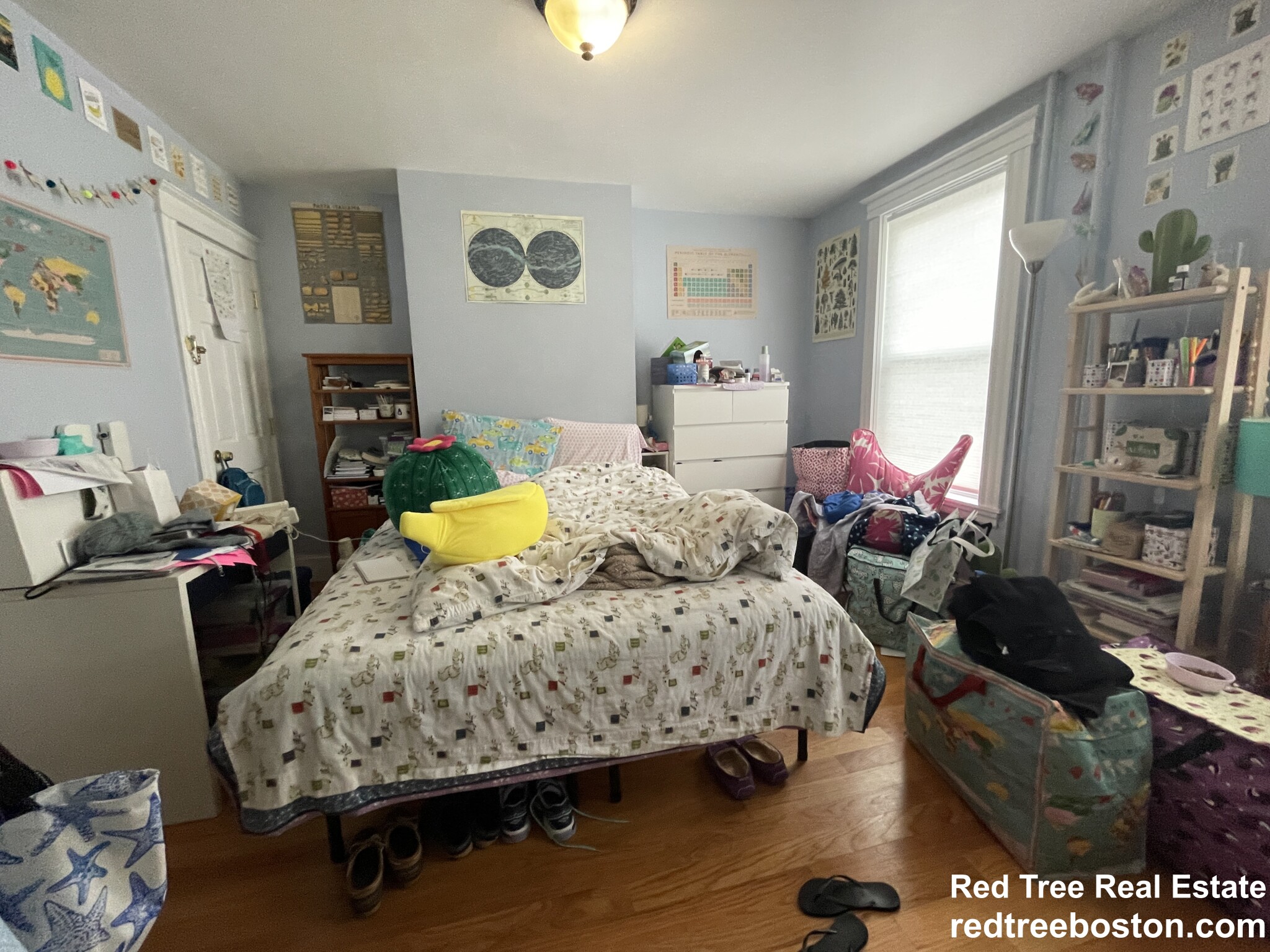 3 Foster St, Brighton