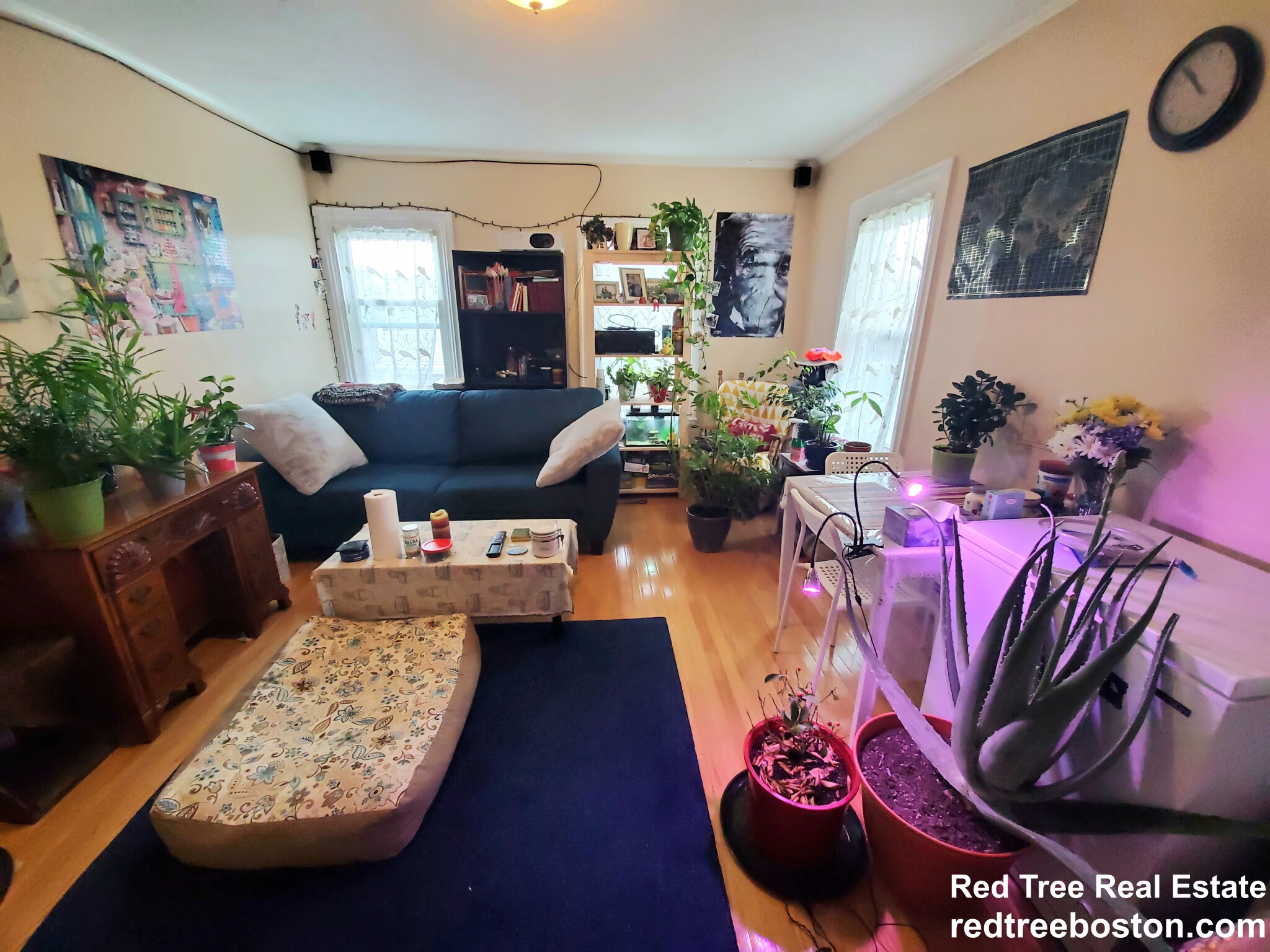 41 Mount Pleasant St, East Somerville