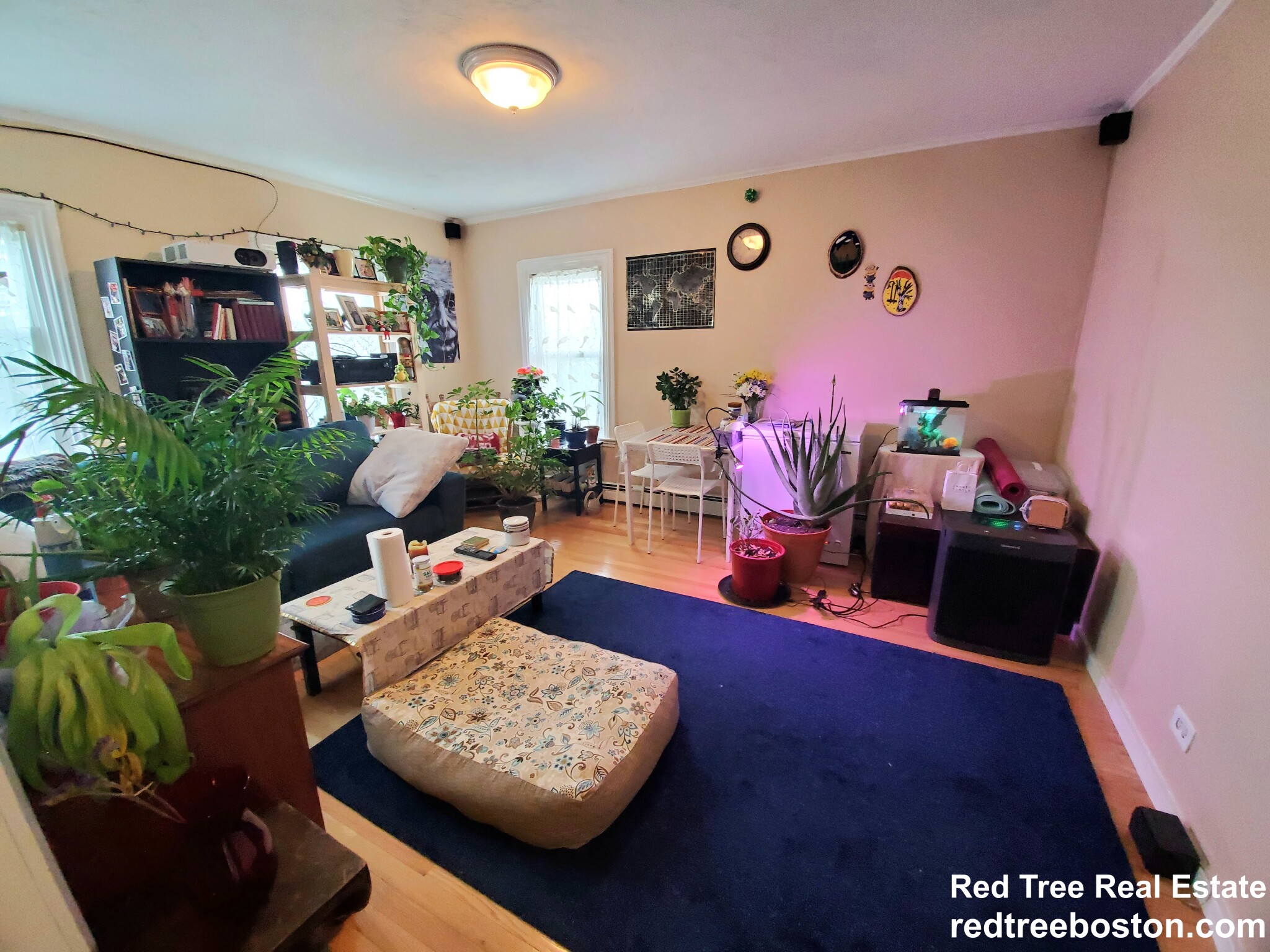 41 Mount Pleasant St, East Somerville