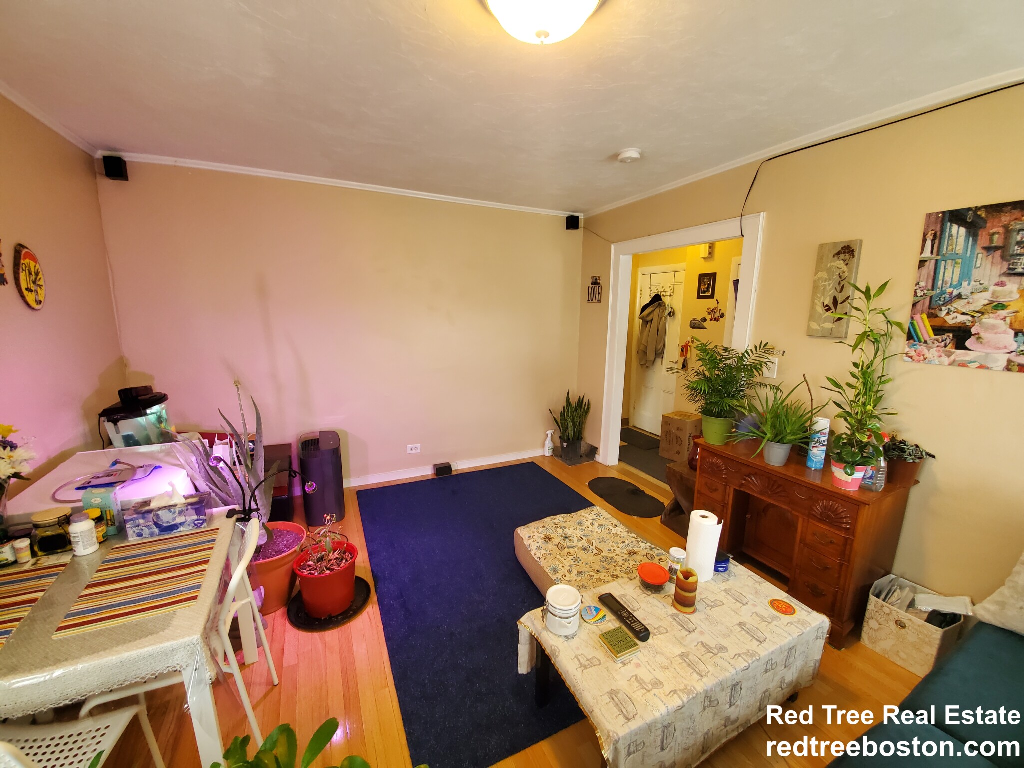 41 Mount Pleasant St, East Somerville