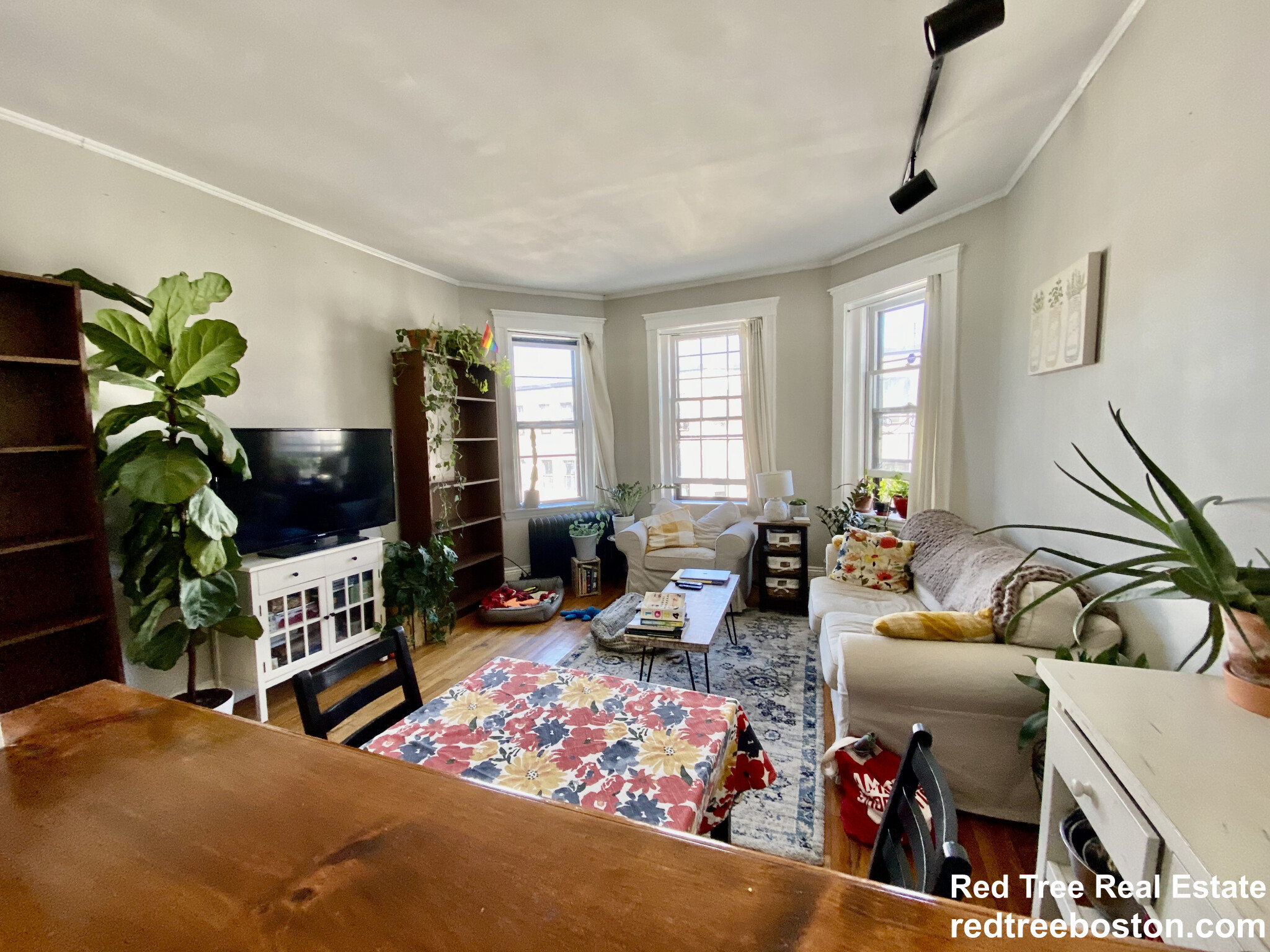 1572 Commonwealth Ave, Brighton