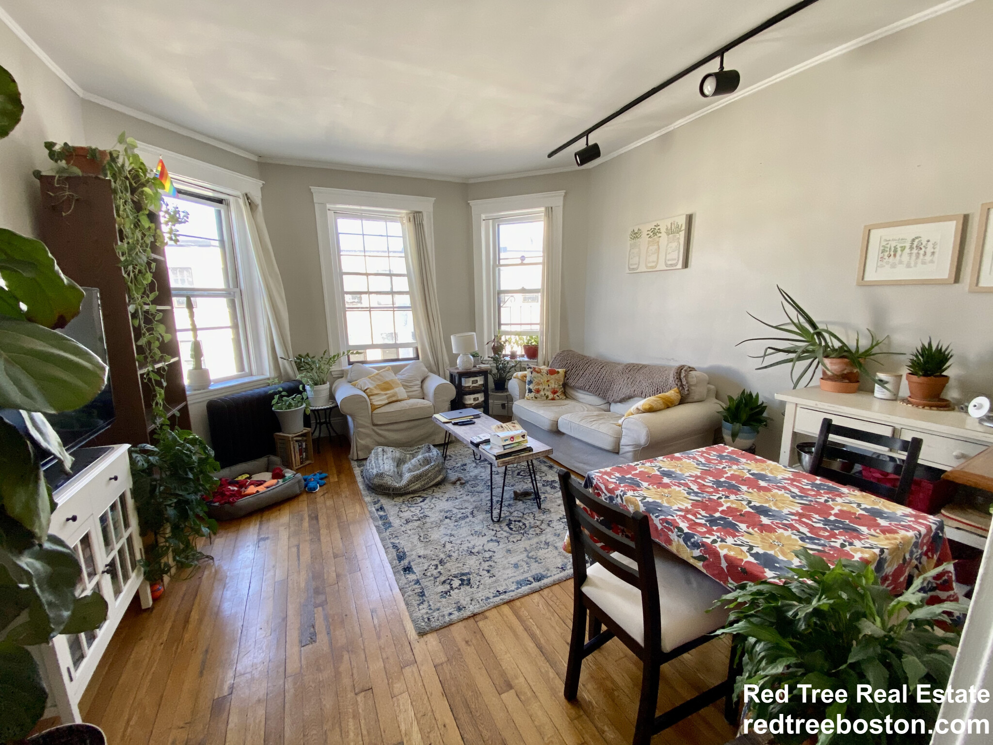 1572 Commonwealth Ave, Brighton