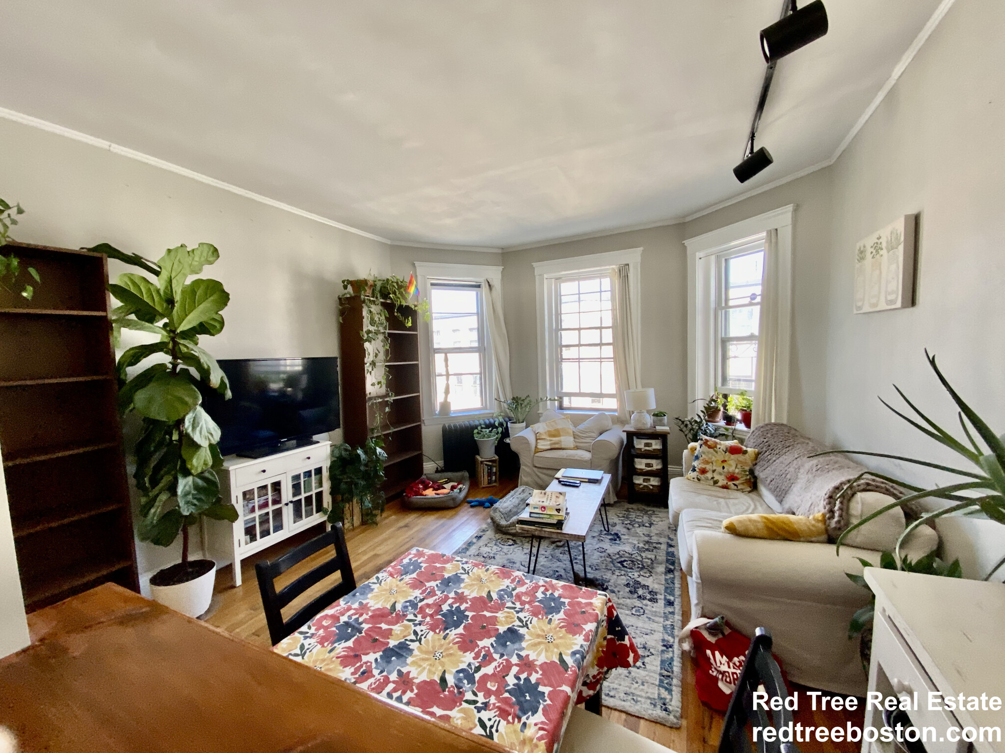 1572 Commonwealth Ave, Brighton