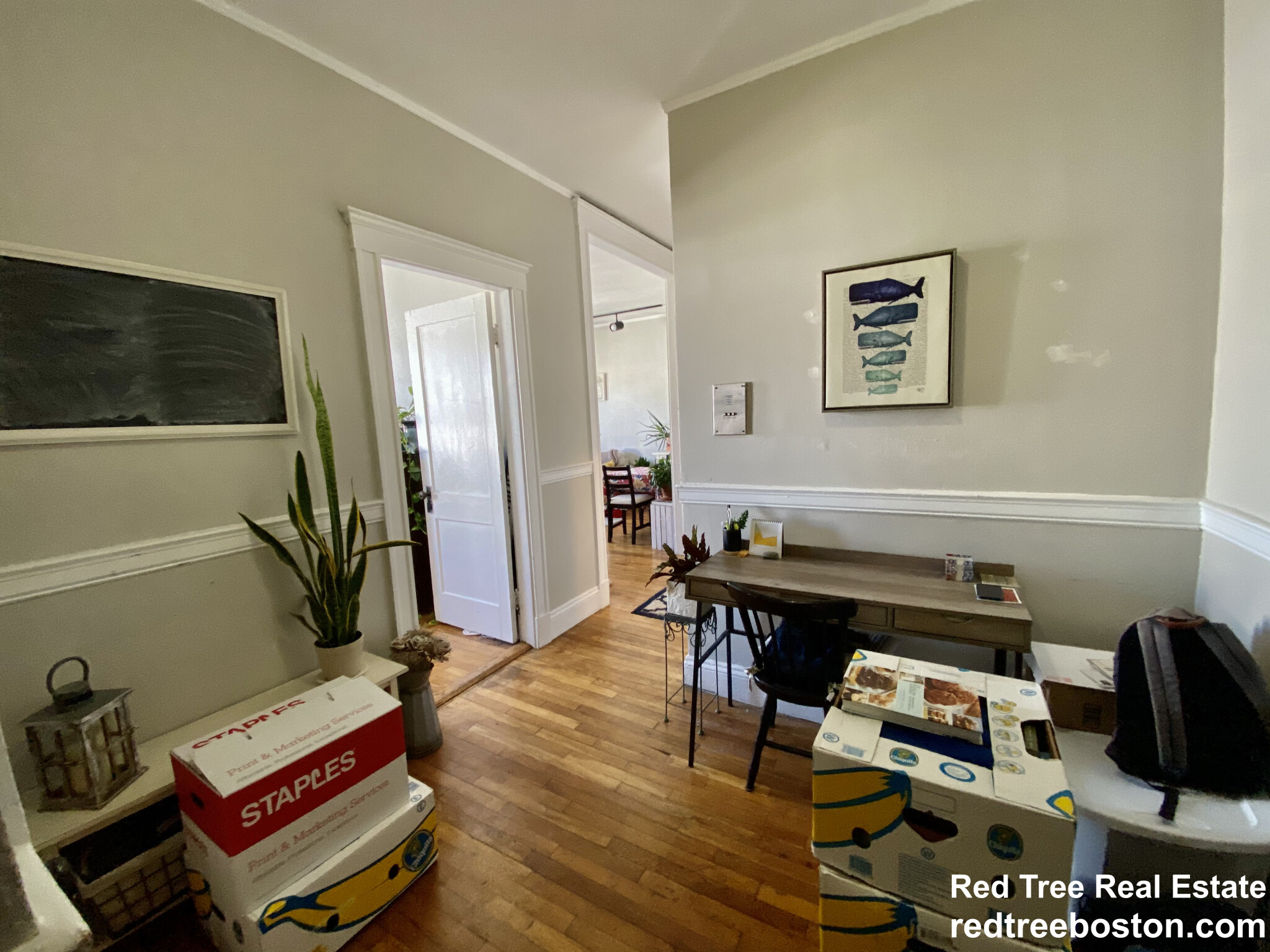 1572 Commonwealth Ave, Brighton