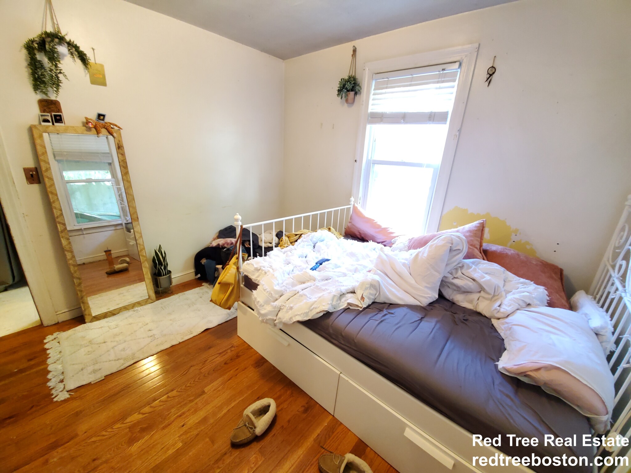 223 Summer St, Spring Hill