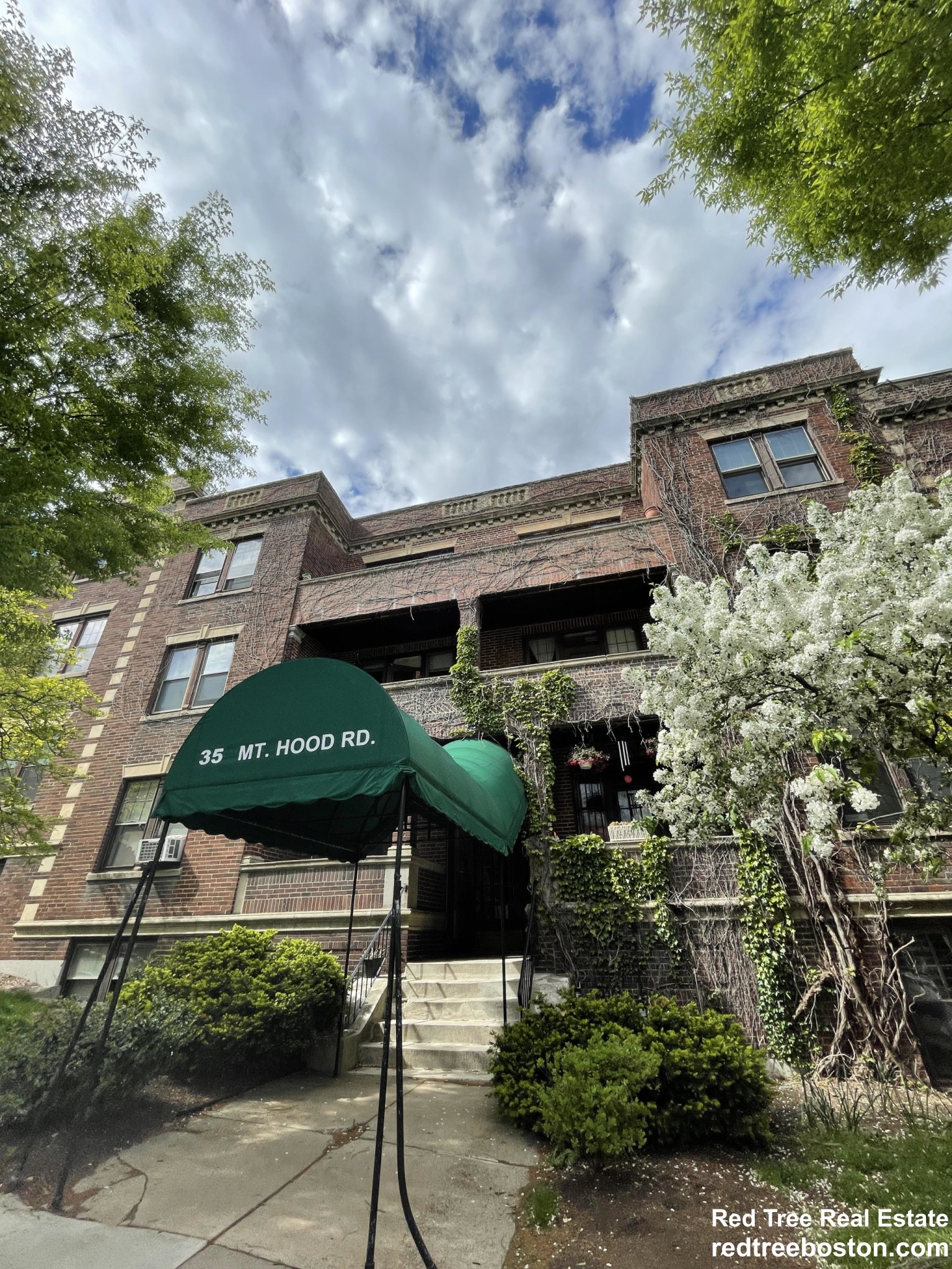 35 Mount Hood Rd, Brighton