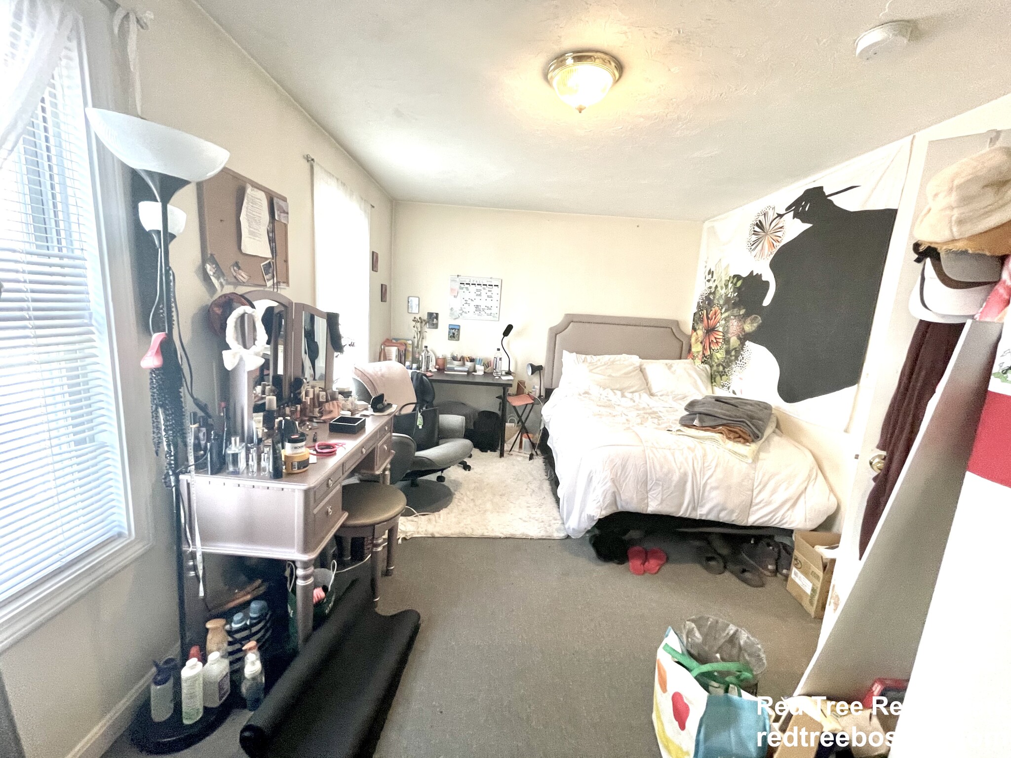 24 Lawn St, Mission Hill