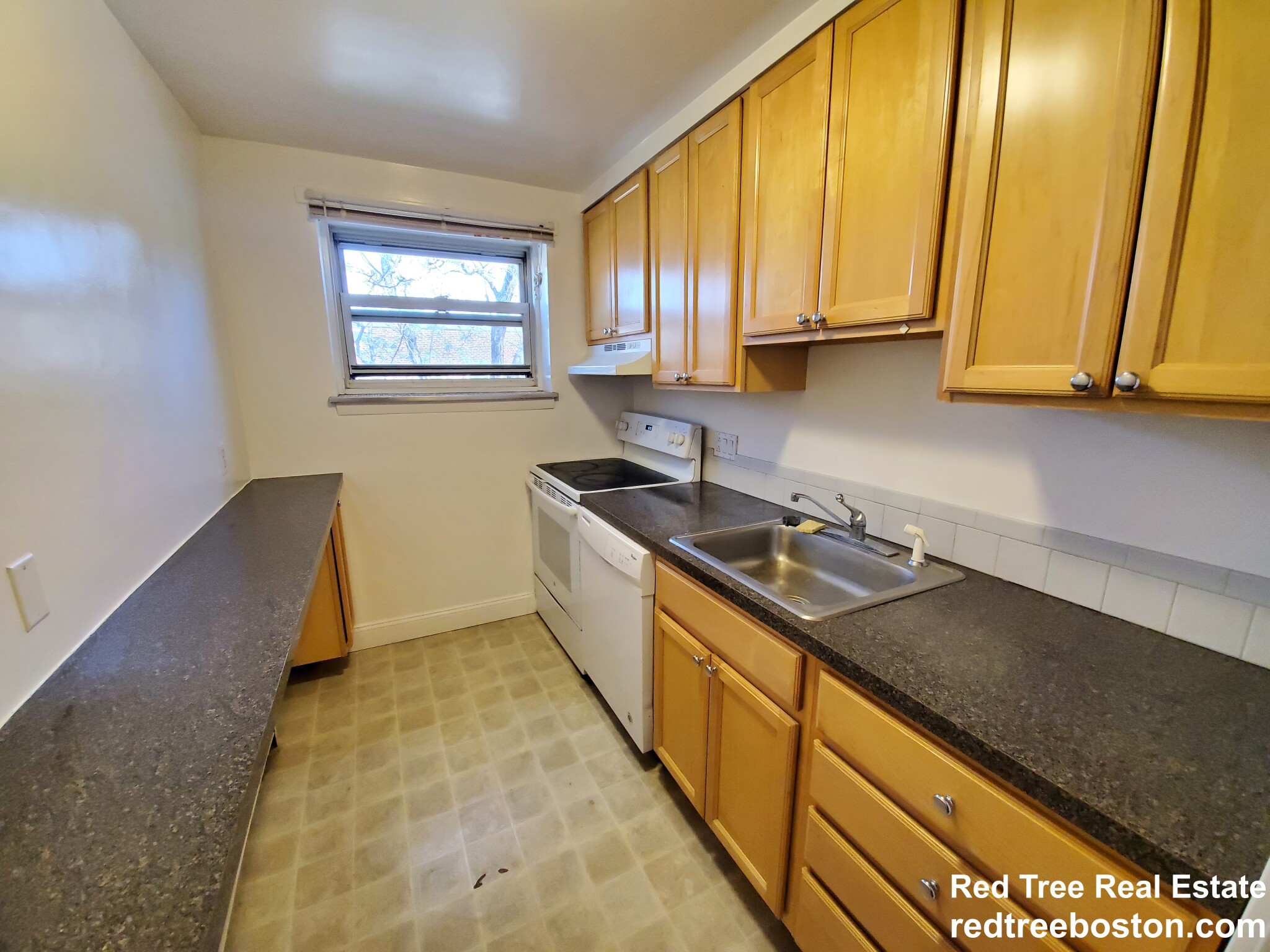 1 bed, 1 bath apartment for rent at 14 Commonwealth Ct Unit 14, Brighton — photo 5 of 12