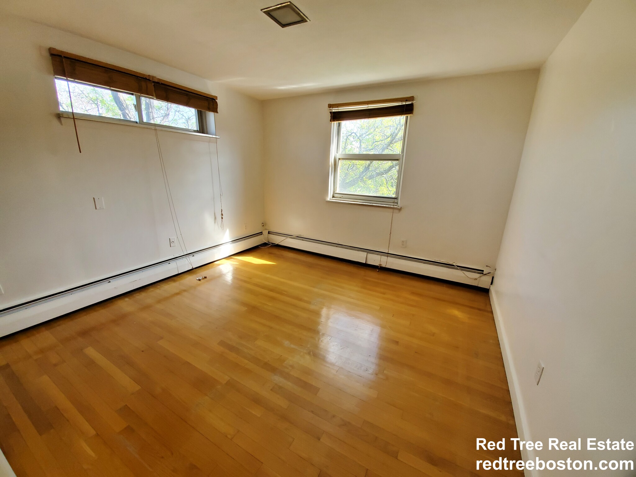 1 bed, 1 bath apartment for rent at 14 Commonwealth Ct Unit 14, Brighton — photo 6 of 12