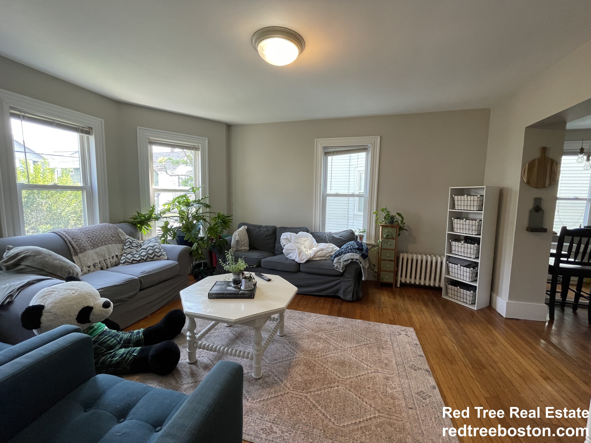 3 bed, 1 bath apartment for rent at 166 Albion St Unit 1, Davis Square — photo 1 of 23