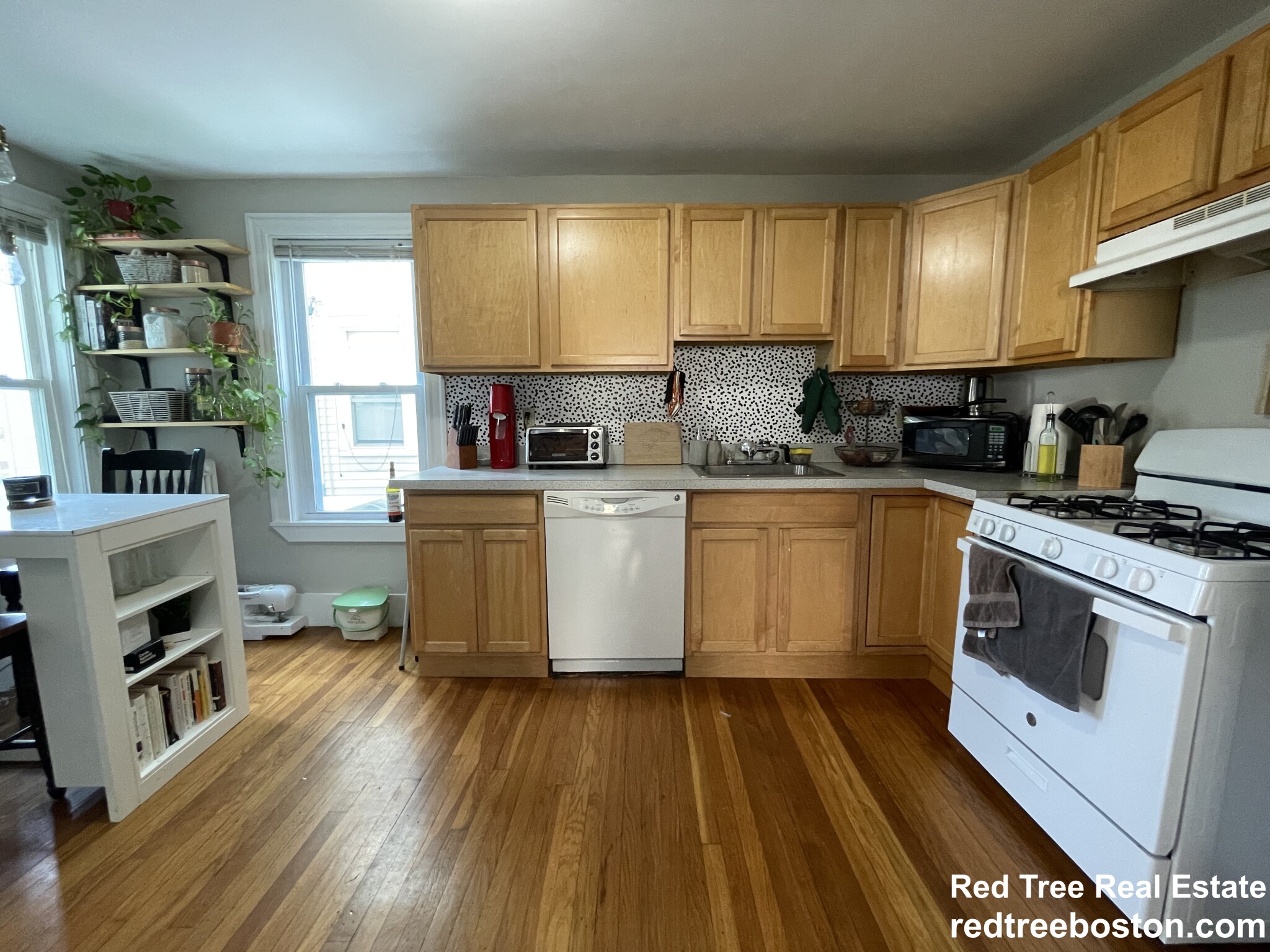 3 bed, 1 bath apartment for rent at 166 Albion St Unit 1, Davis Square — photo 10 of 23