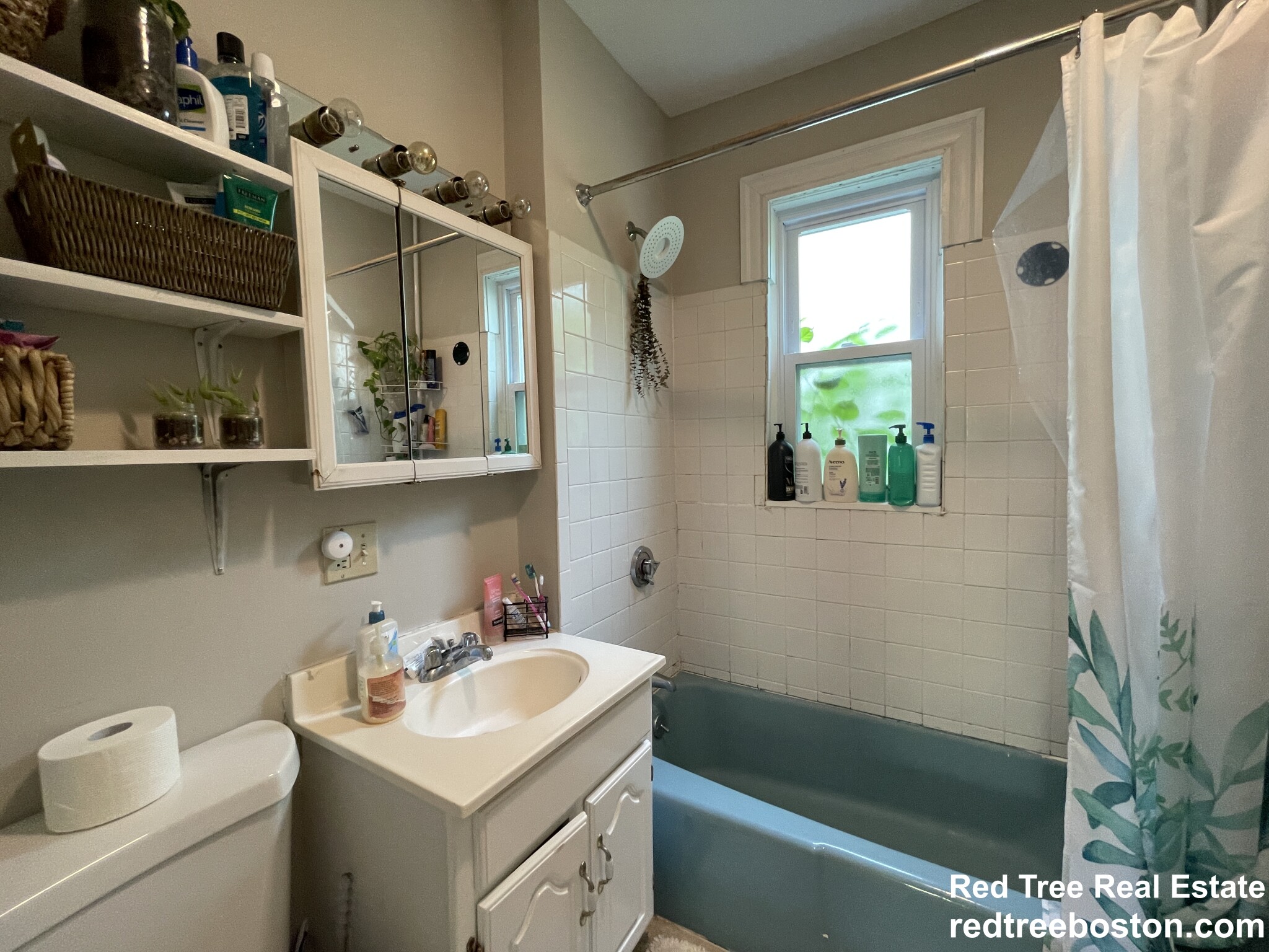3 bed, 1 bath apartment for rent at 166 Albion St Unit 1, Davis Square — photo 14 of 23