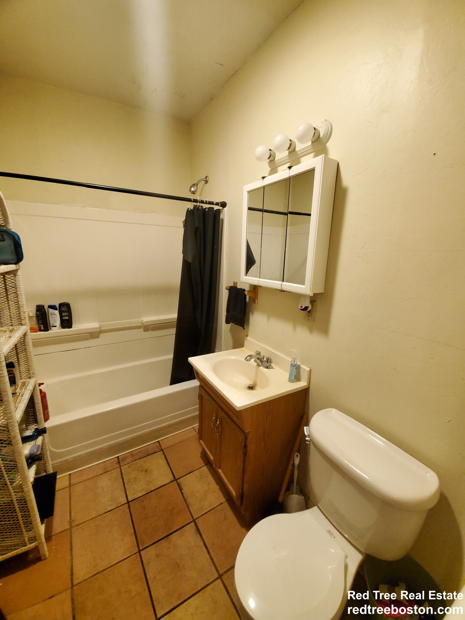 219 Harvard St, Coolidge Corner