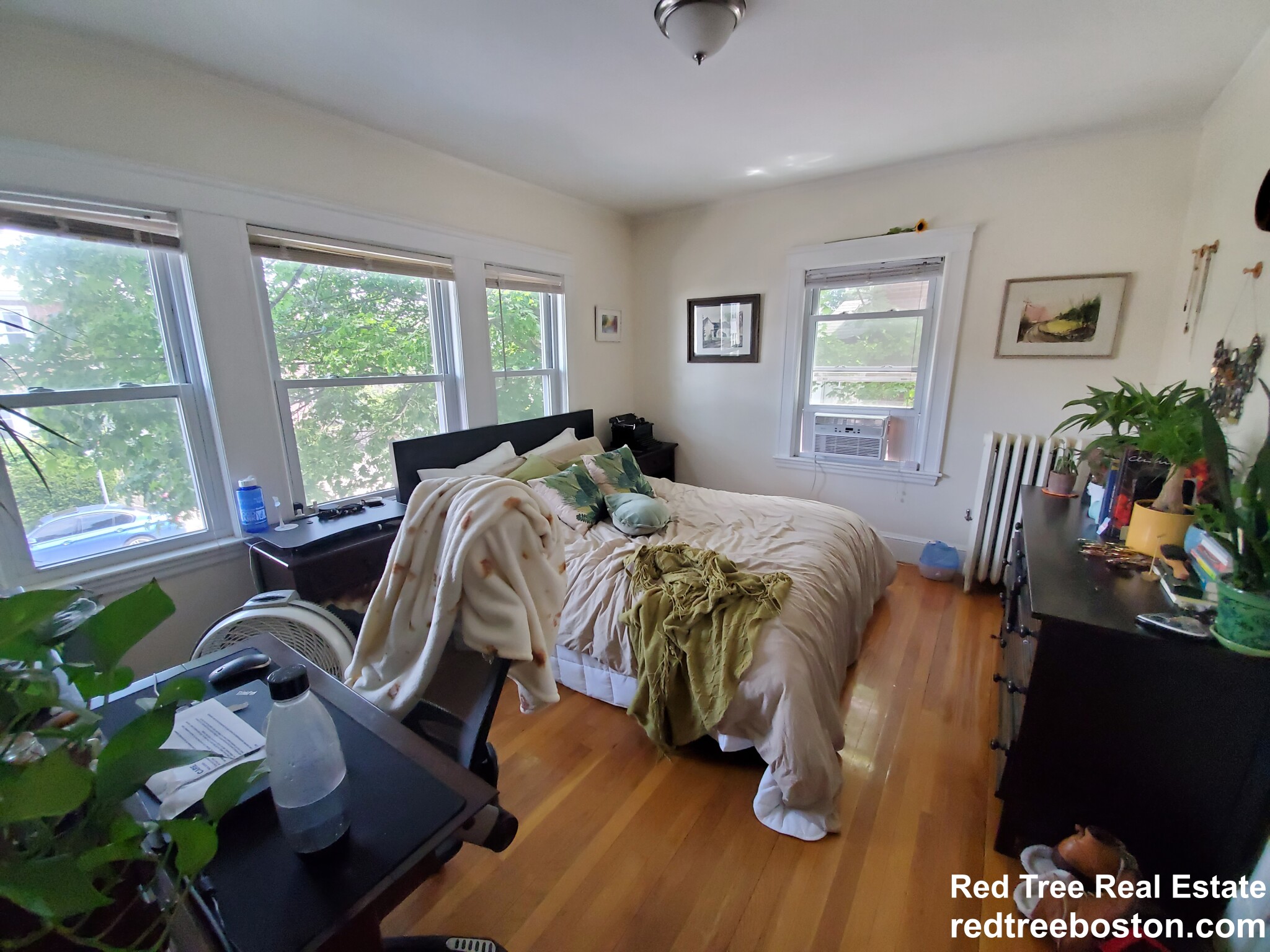 112 Colborne Rd, Brighton