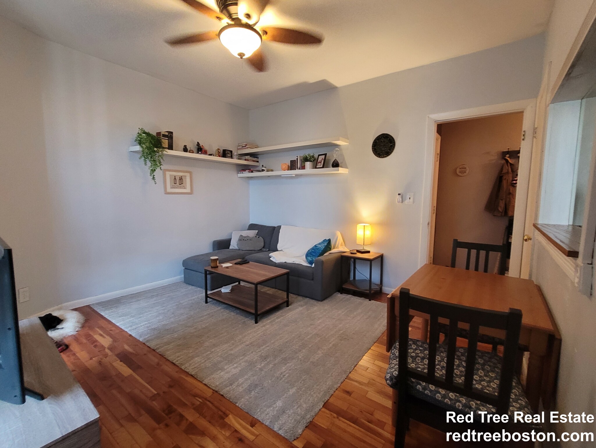 1486 Commonwealth Ave, Brighton