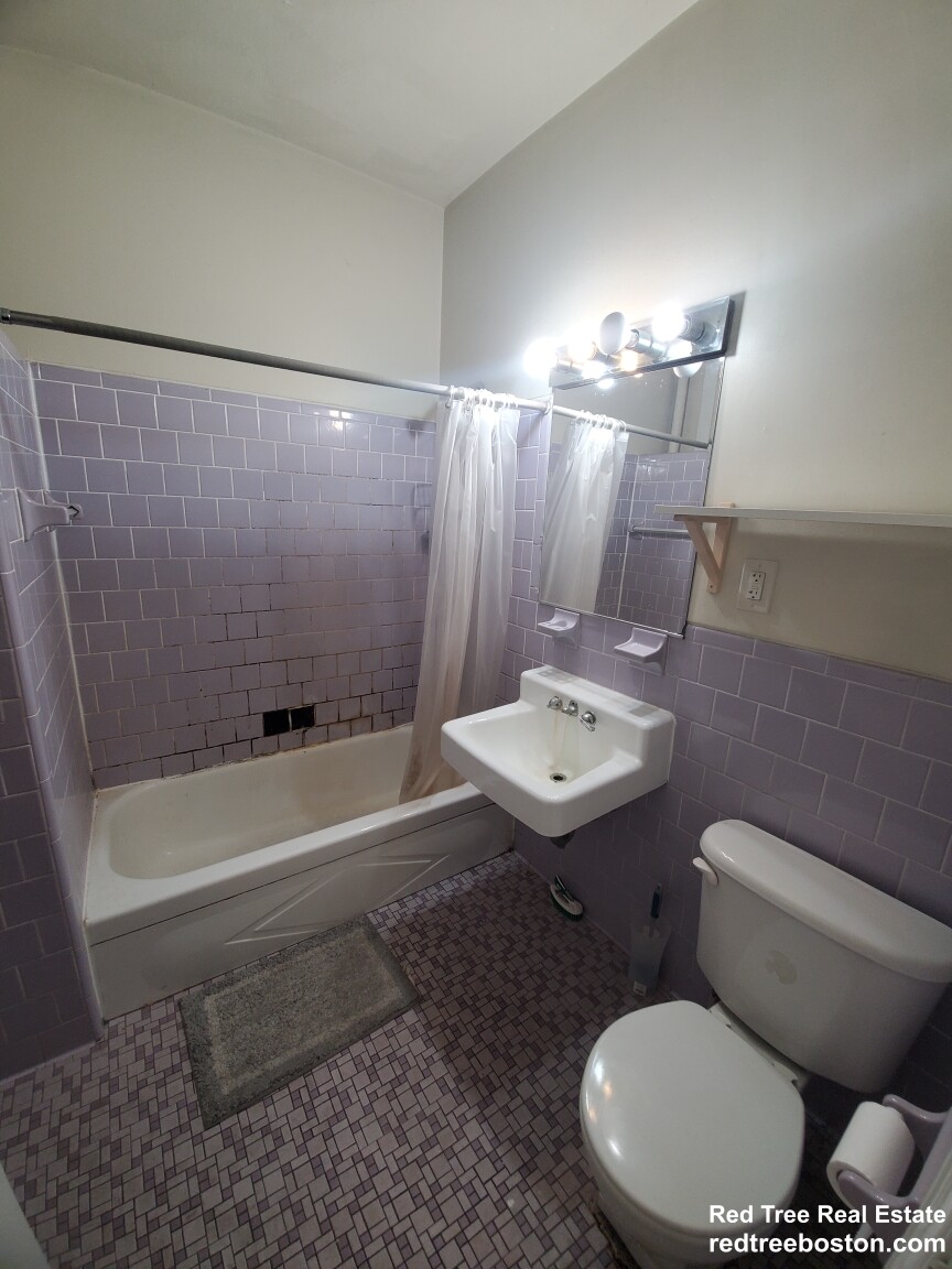 3 bed, 2 bath apartment for rent at 217 Harvard St Unit 5, Coolidge Corner — photo 8 of 8