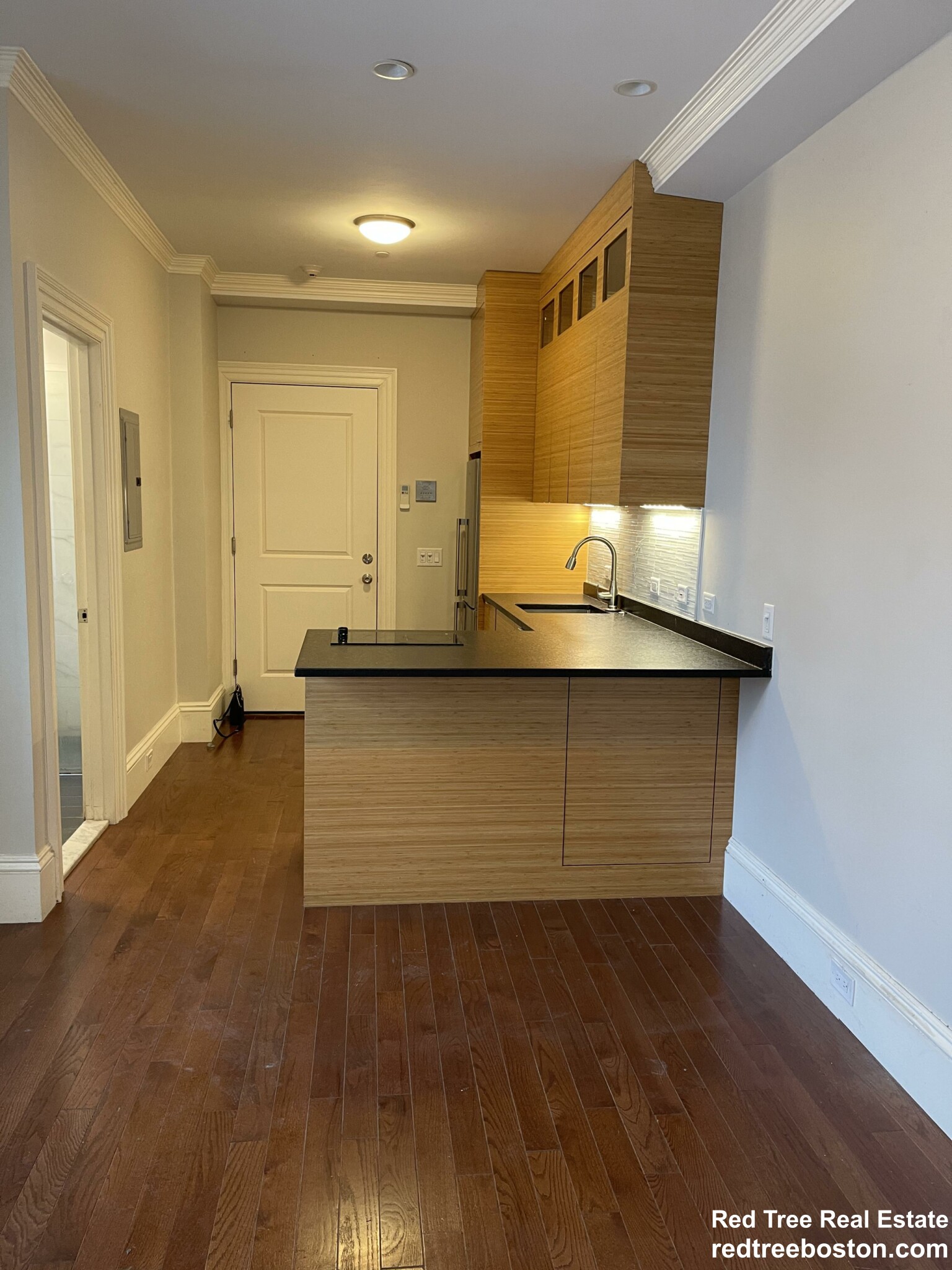 98 Myrtle St, Fenway