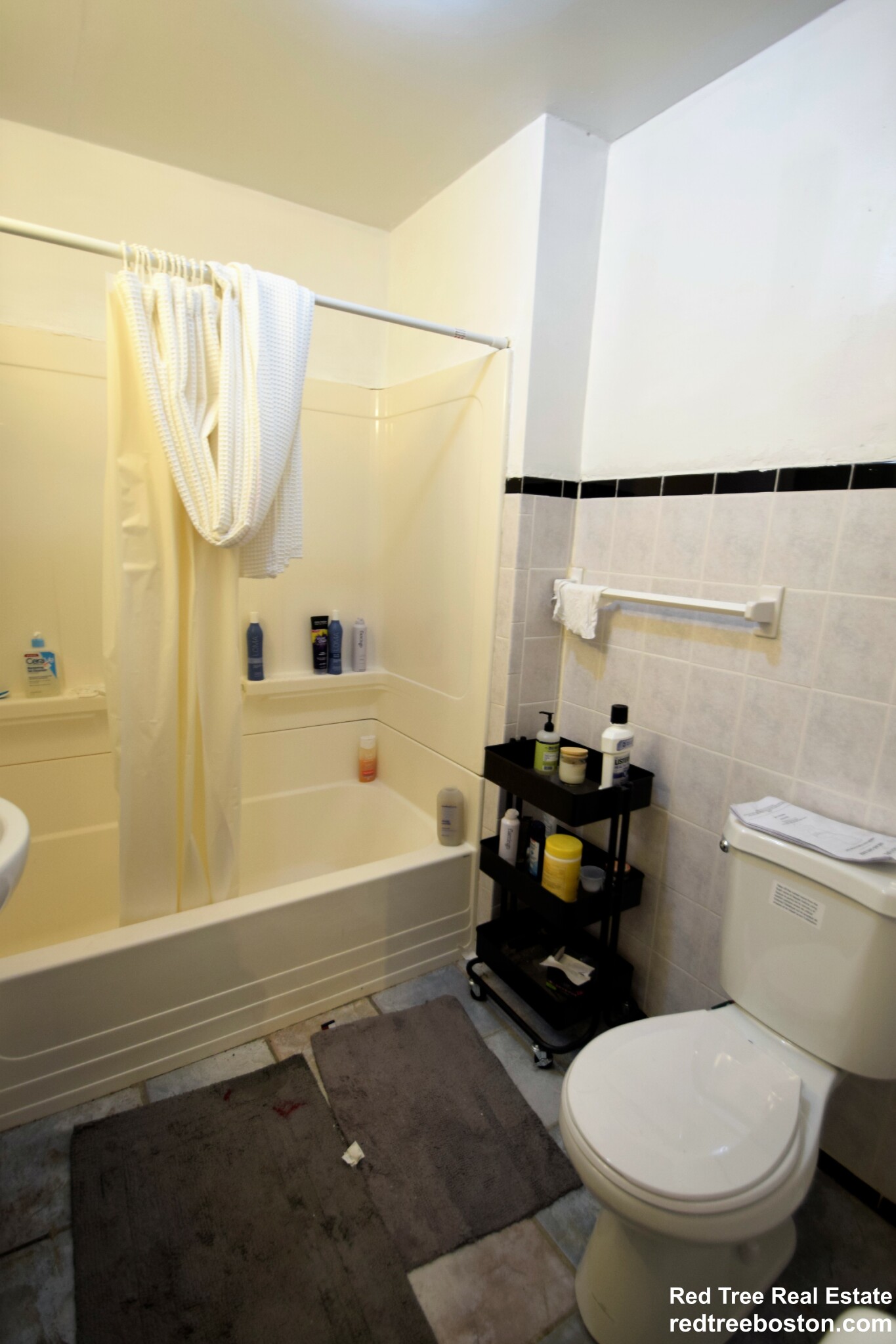 60 Egmont St, North Brookline