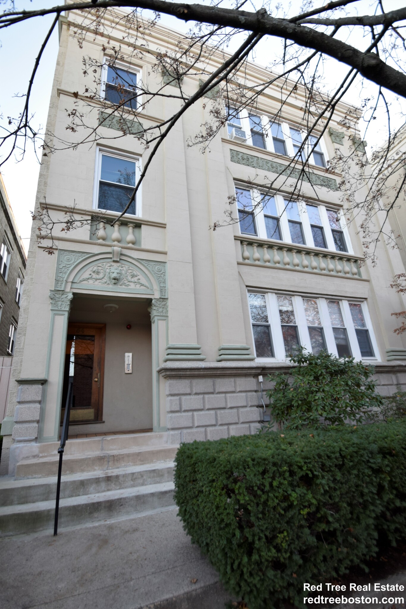 54 Egmont St, North Brookline