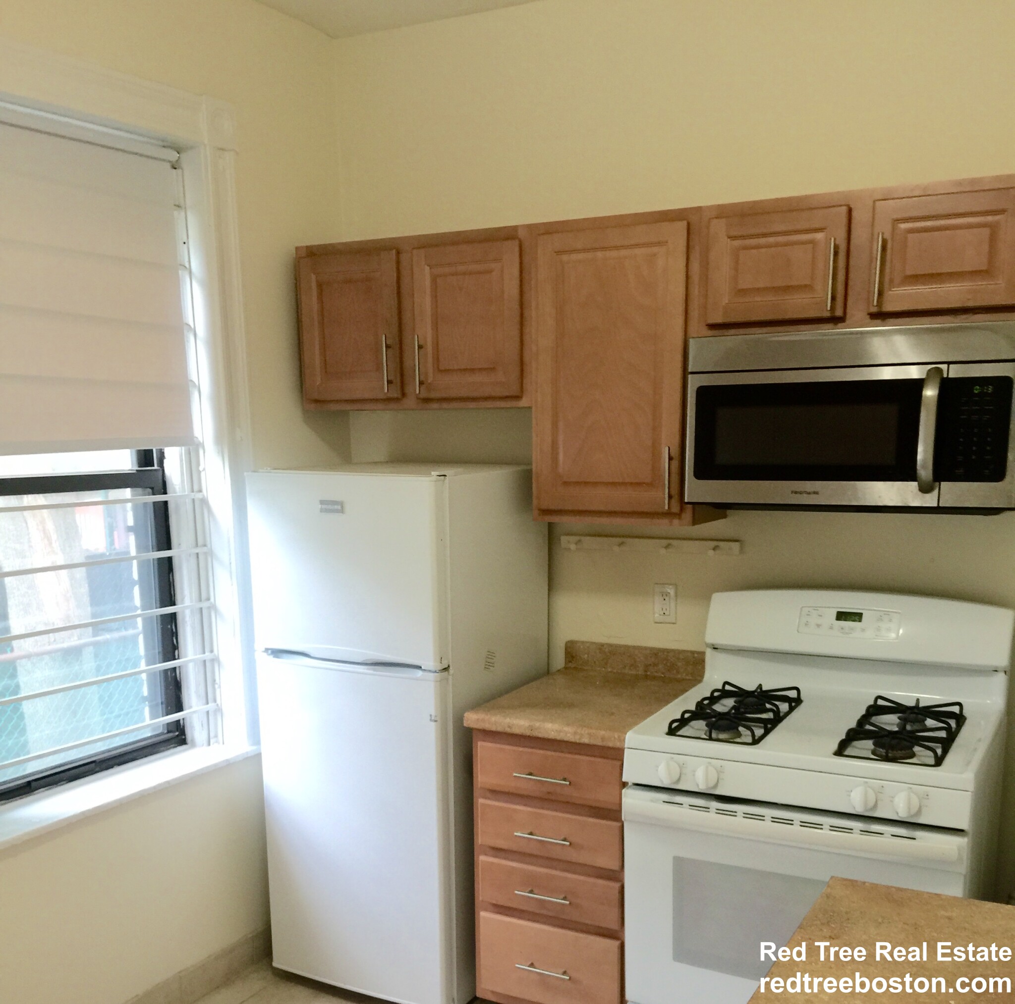1 bed, 1 bath apartment for rent at 119 Brainerd Rd Unit 15, Allston — photo 4 of 8