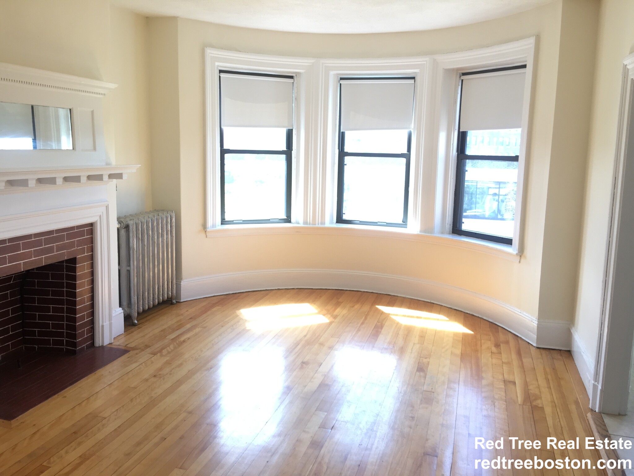 1 bed, 1 bath apartment for rent at 119 Brainerd Rd Unit 15, Allston — photo 2 of 8