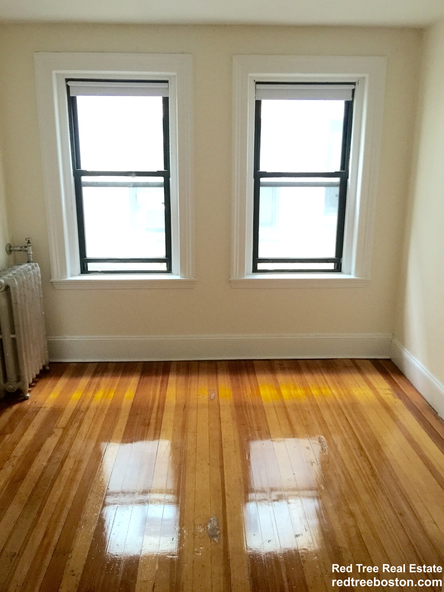 1 bed, 1 bath apartment for rent at 119 Brainerd Rd Unit 15, Allston — photo 5 of 8