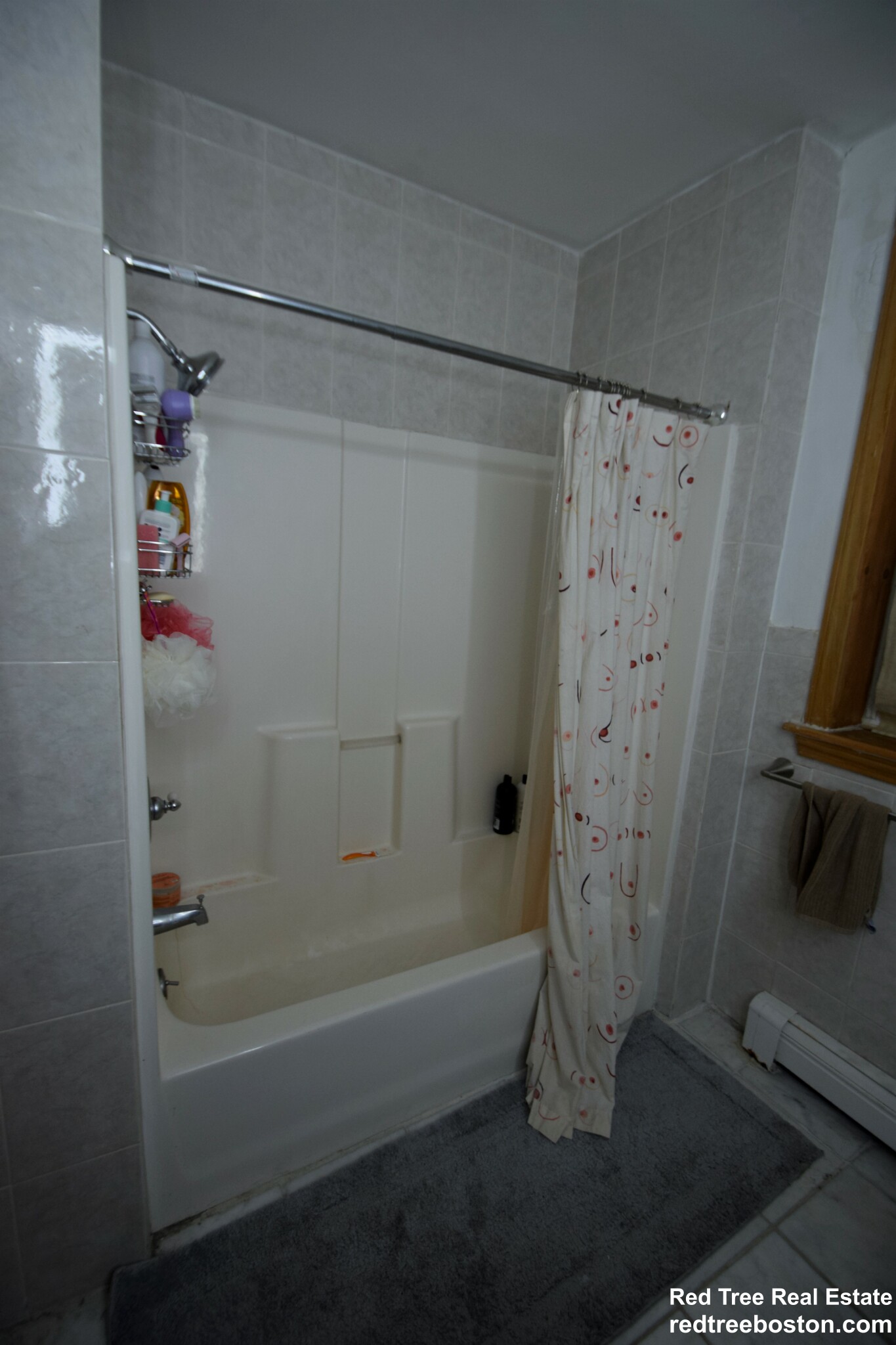 25 Gibbs St, Longwood