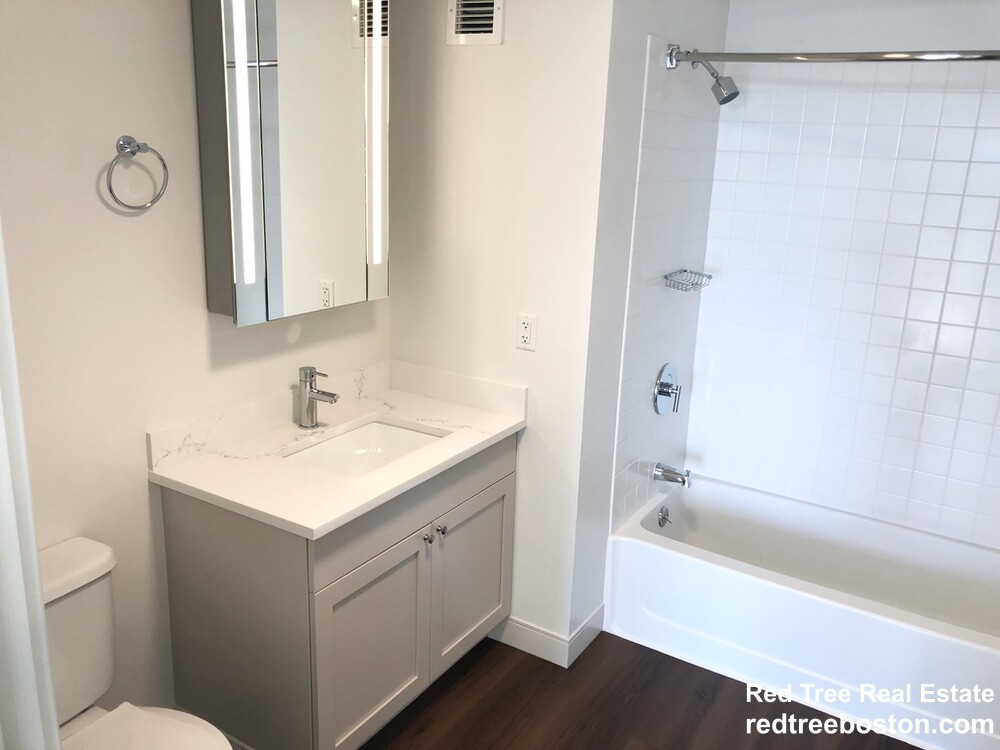 1 bed, 1 bath apartment for rent at 350 Third St Unit 1702, Cambridge — photo 3 of 50