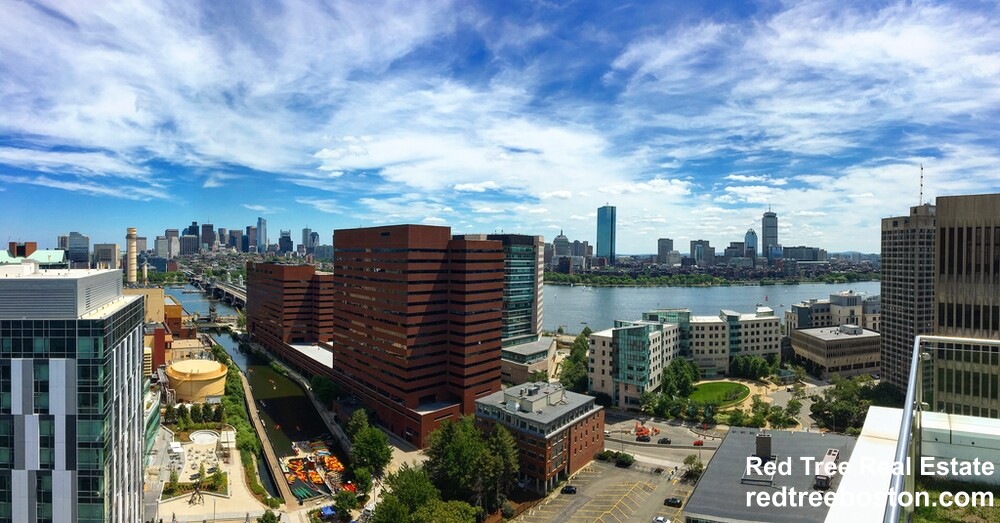 1 bed, 1 bath apartment for rent at 350 Third St Unit 1702, Cambridge — photo 5 of 50