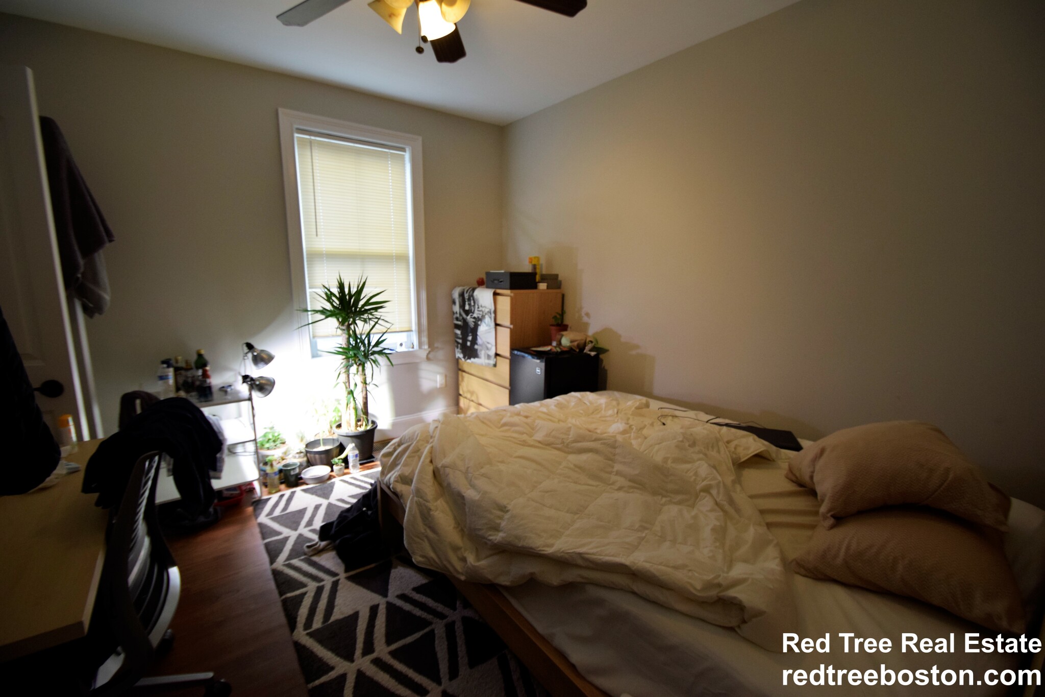 4 bed, 2 bath apartment for rent at 4 Judge St Unit 1, Mission Hill — photo 7 of 29