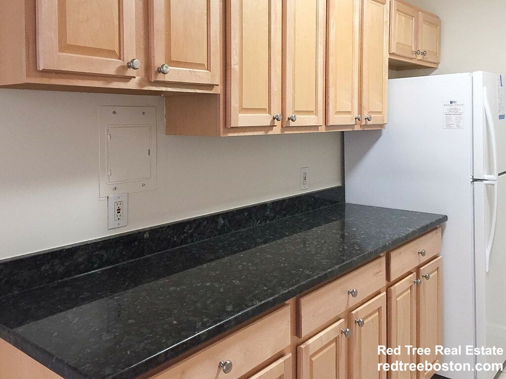 1 bed, 1 bath apartment for rent at 33 Pond Ave Unit 309, Brookline Village — photo 16 of 18