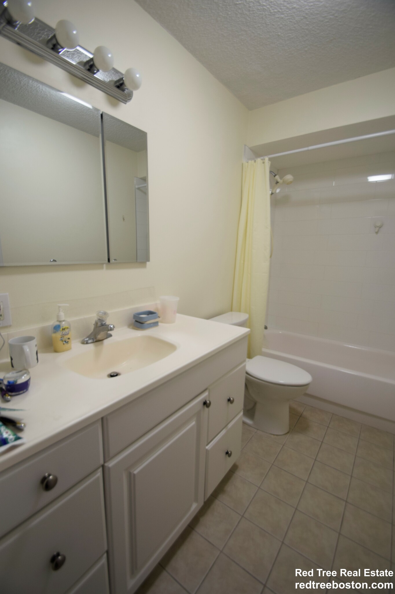 1 bed, 1 bath apartment for rent at 33 Pond Ave Unit 309, Brookline Village — photo 7 of 18