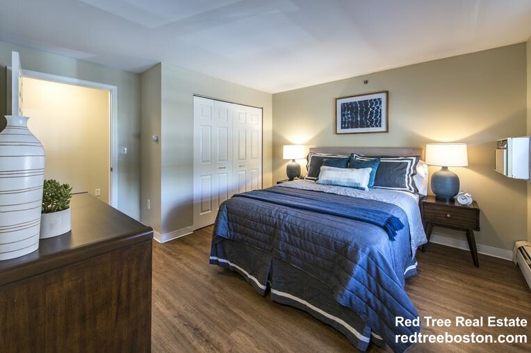 2 bed, 1 bath apartment for rent at 683C Parker St, Mission Hill — photo 3 of 12