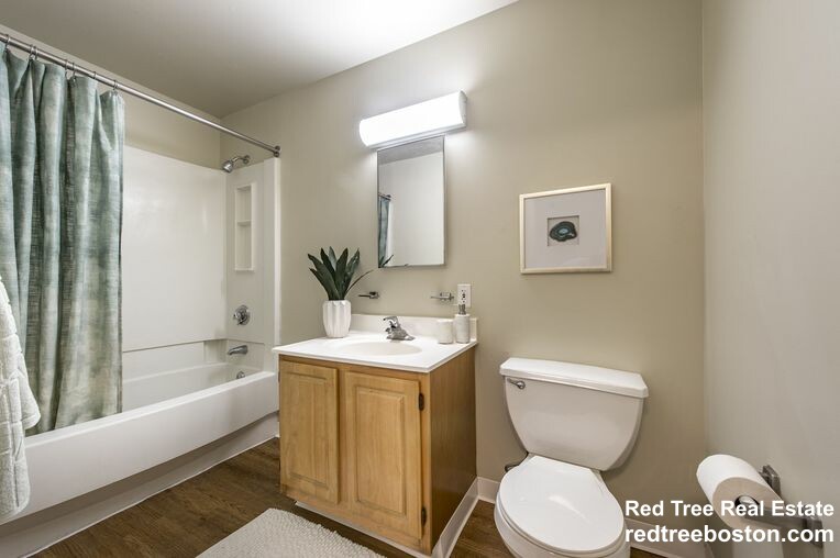 2 bed, 1 bath apartment for rent at 683C Parker St, Mission Hill — photo 4 of 12