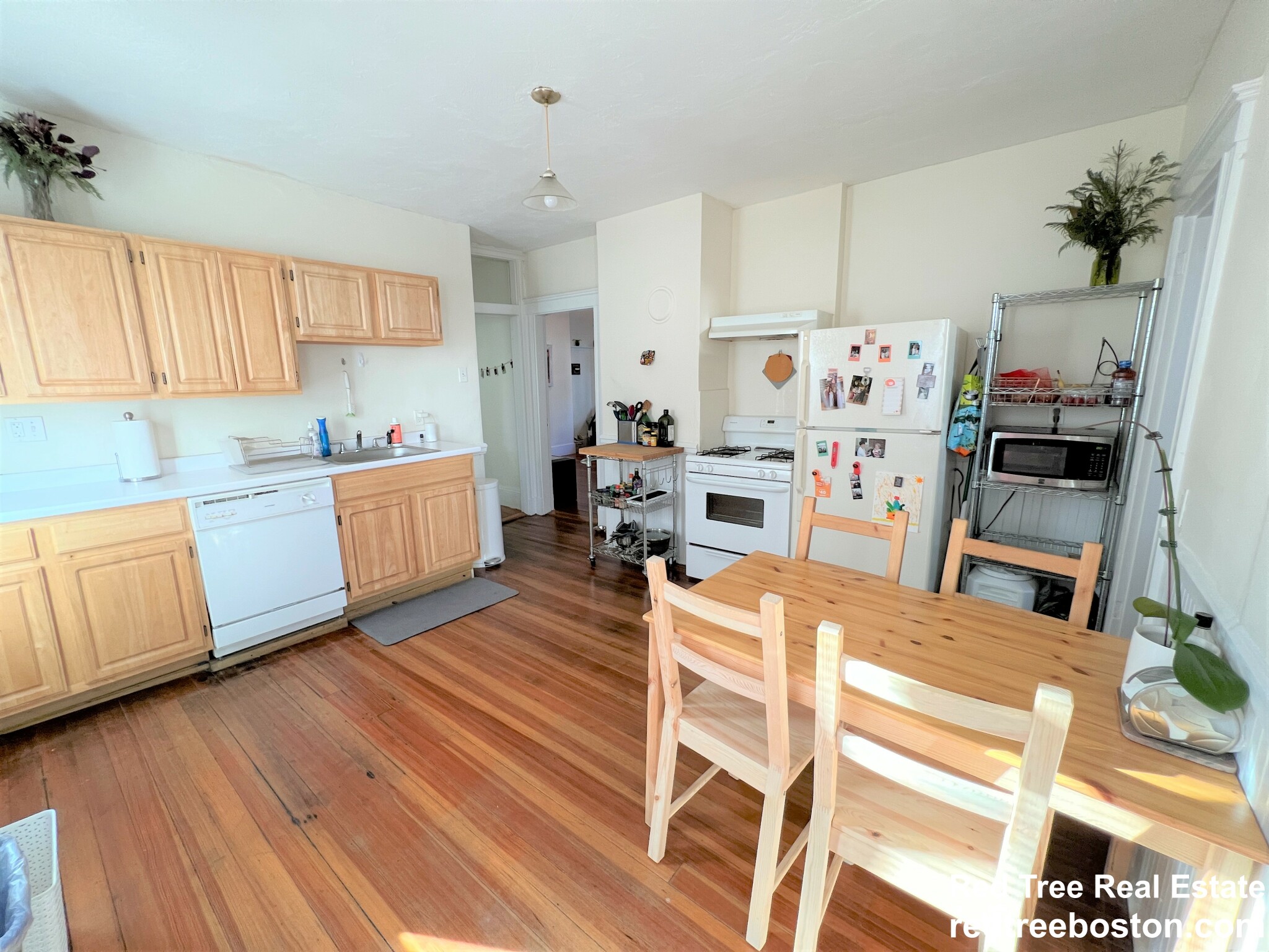 2 bed, 1 bath apartment for rent at 66 Williams St Unit 1, Jamaica Plain — photo 3 of 16