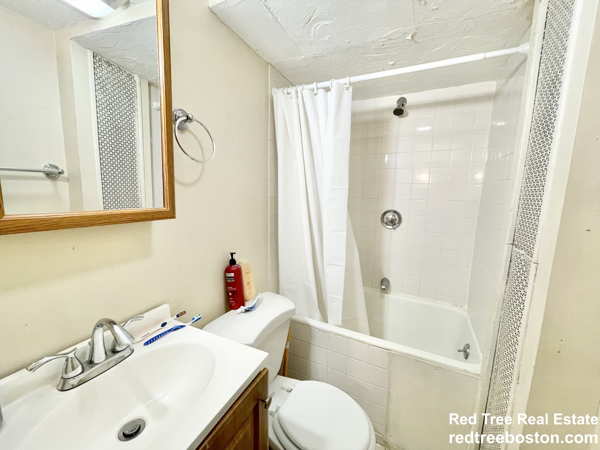 58 Anderson St, Beacon Hill