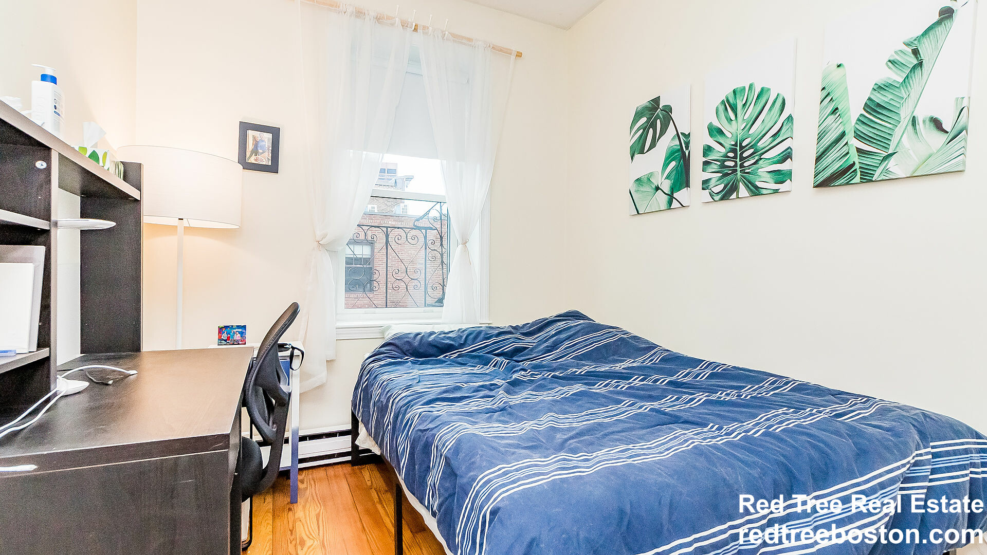 51 Anderson St, Beacon Hill