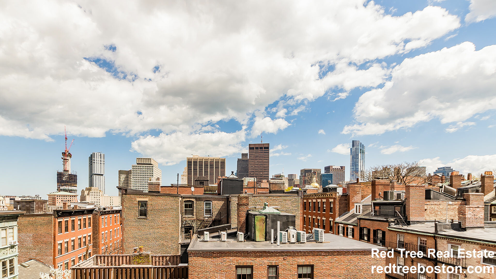 51 Anderson St, Beacon Hill