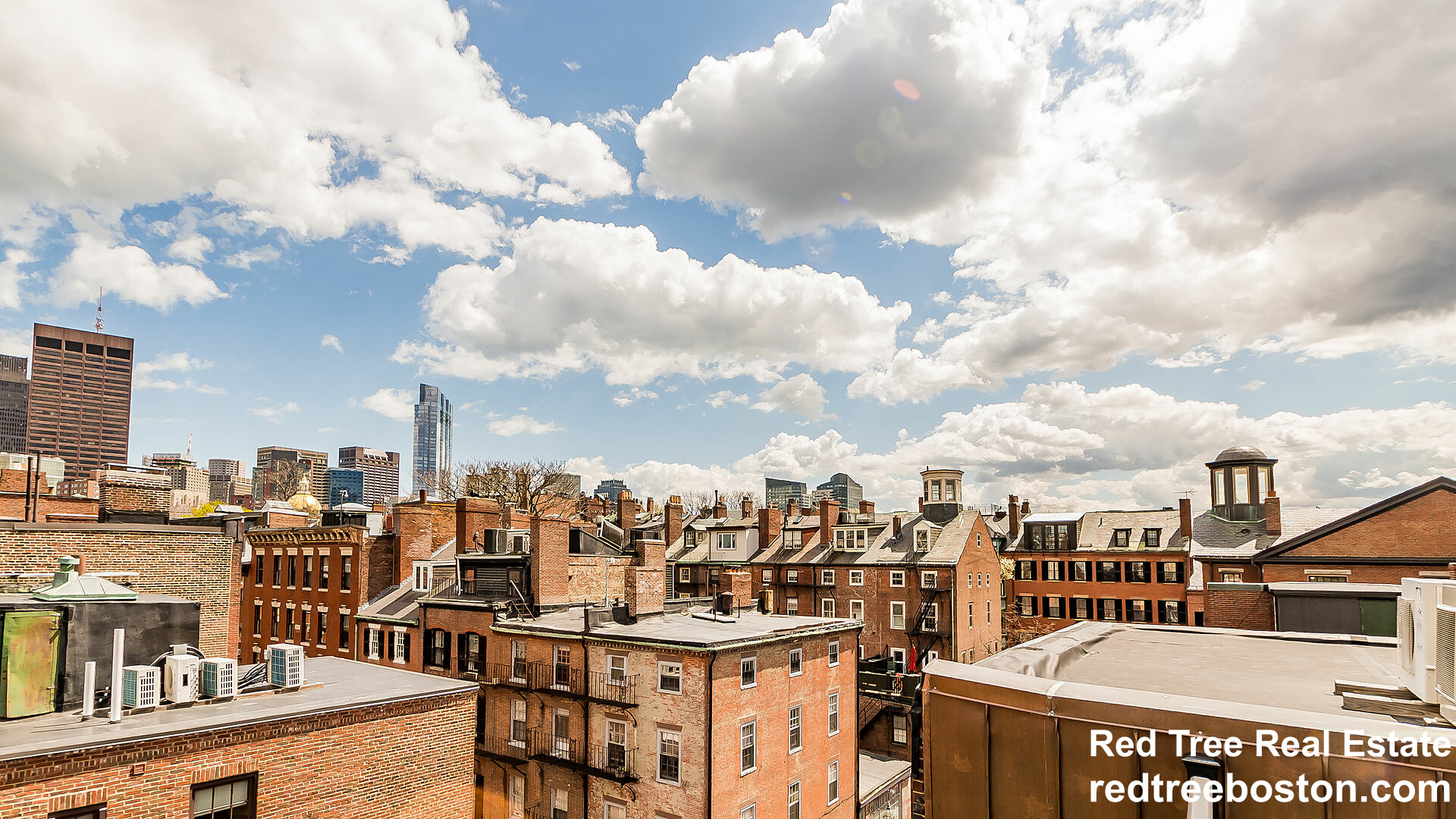 51 Anderson St, Beacon Hill