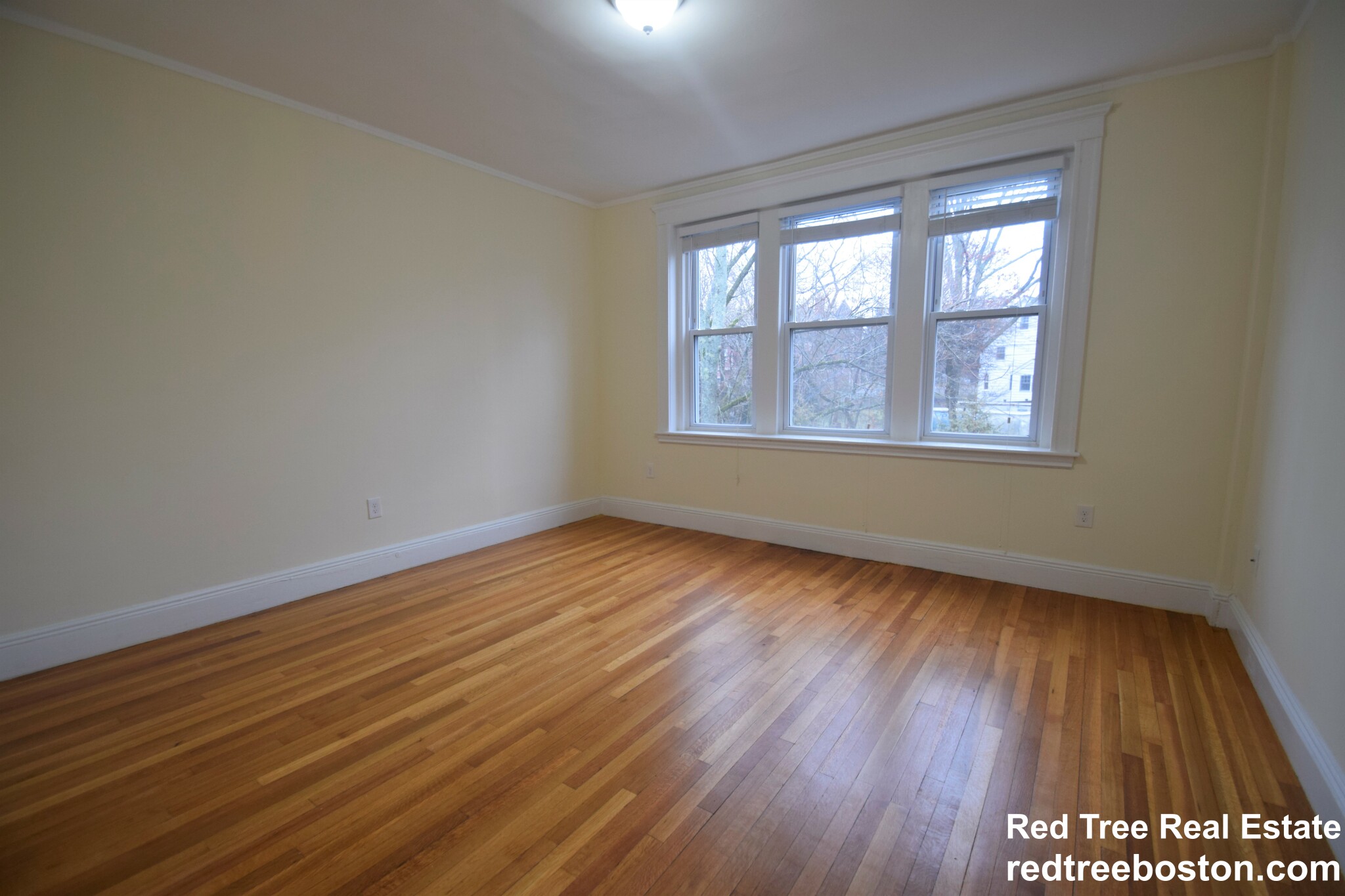 3 bed, 1 bath apartment for rent at 30 Addington Rd Unit 4, Washington Square — photo 20 of 26