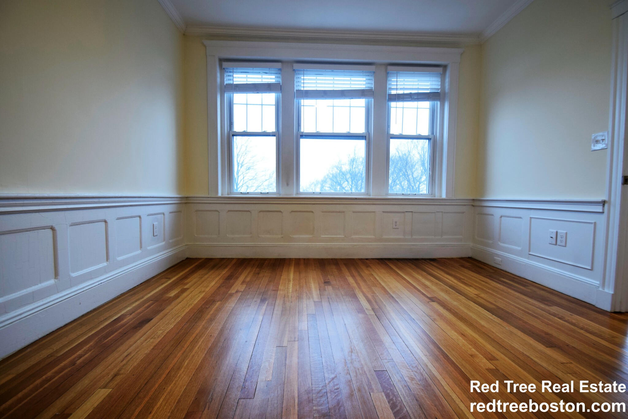 3 bed, 1 bath apartment for rent at 30 Addington Rd Unit 4, Washington Square — photo 4 of 26