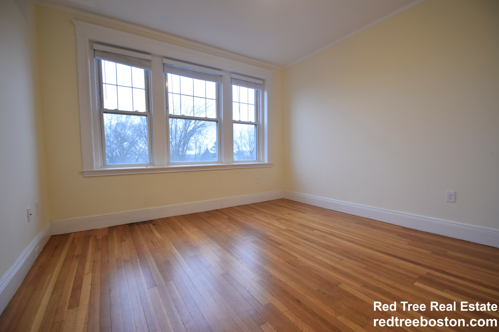 3 bed, 1 bath apartment for rent at 30 Addington Rd Unit 4, Washington Square — photo 19 of 26