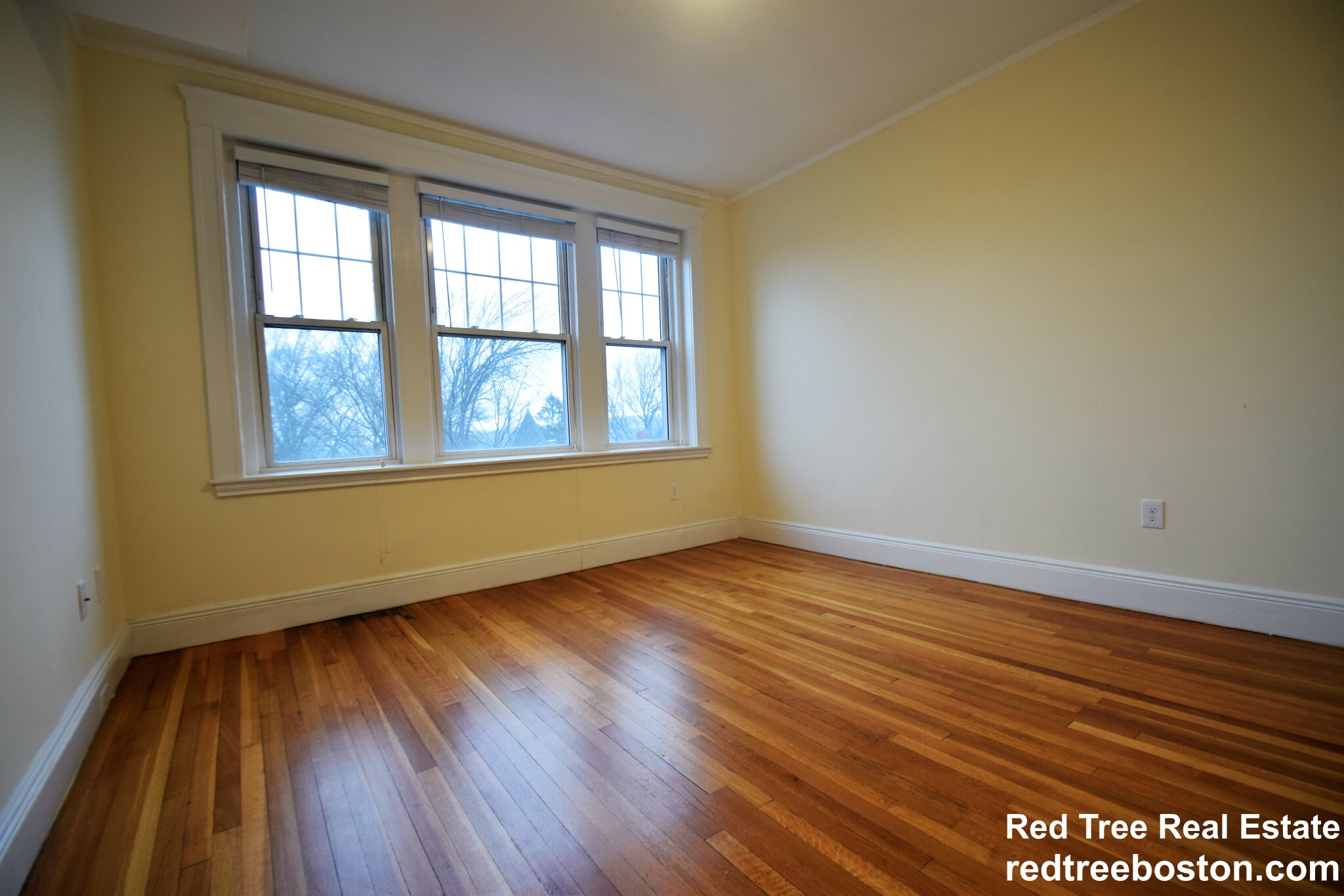 3 bed, 1 bath apartment for rent at 30 Addington Rd Unit 4, Washington Square — photo 18 of 26