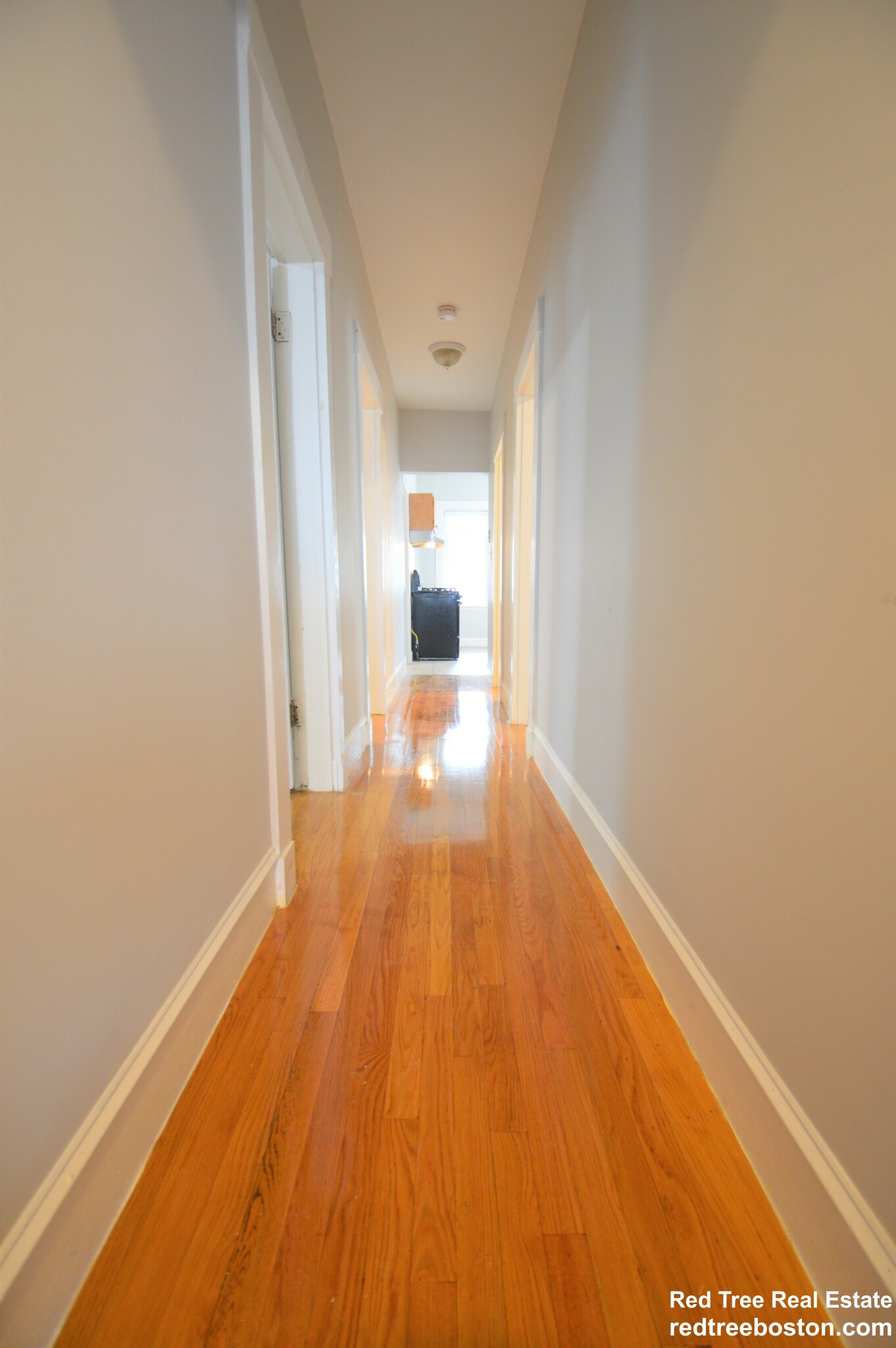 21 Roseclair St, Dorchester