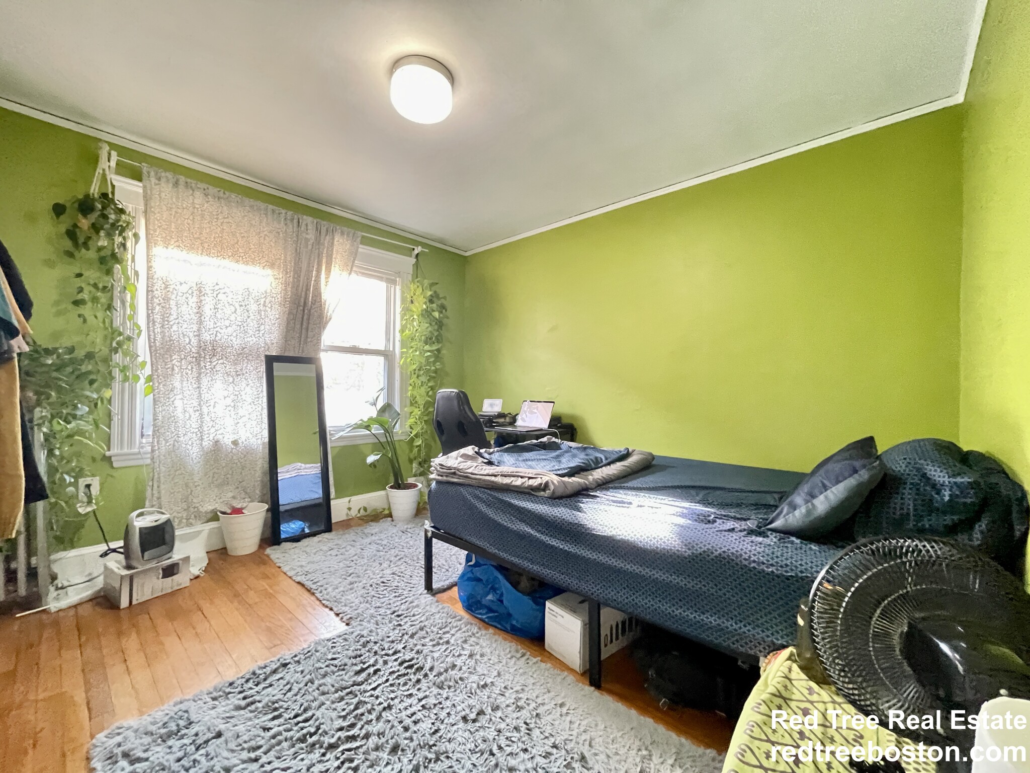 221 North Harvard St, Allston