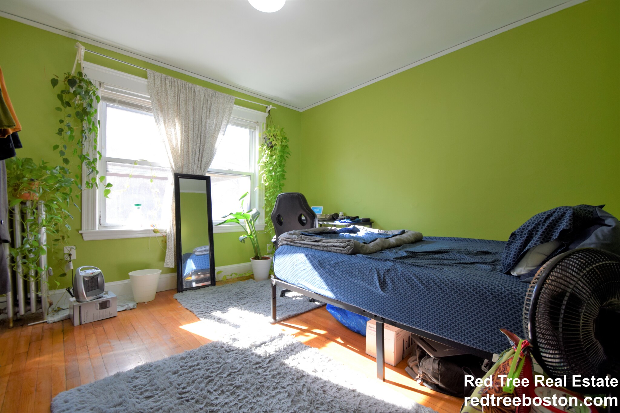 221 North Harvard St, Allston